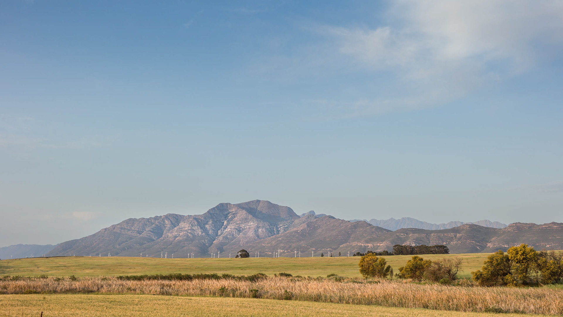 The Saronsberg from the Moredou Road.