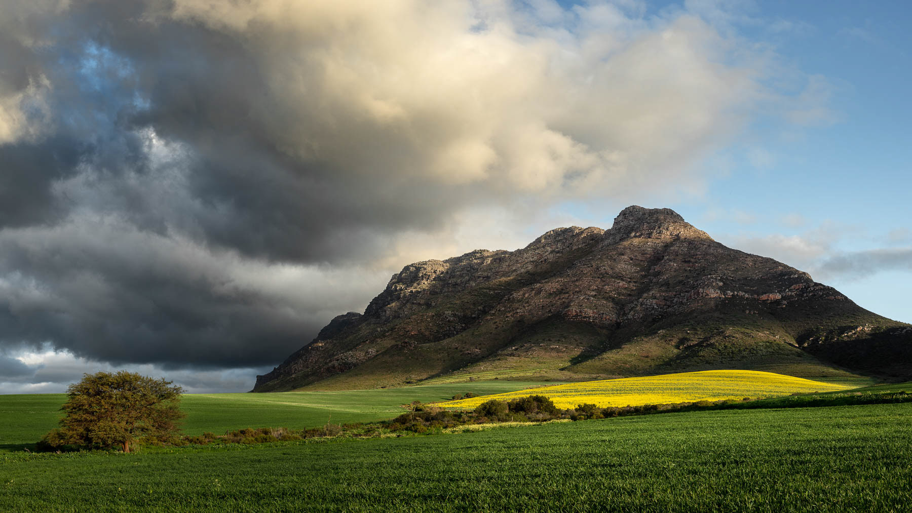 "Light Breaking Through"