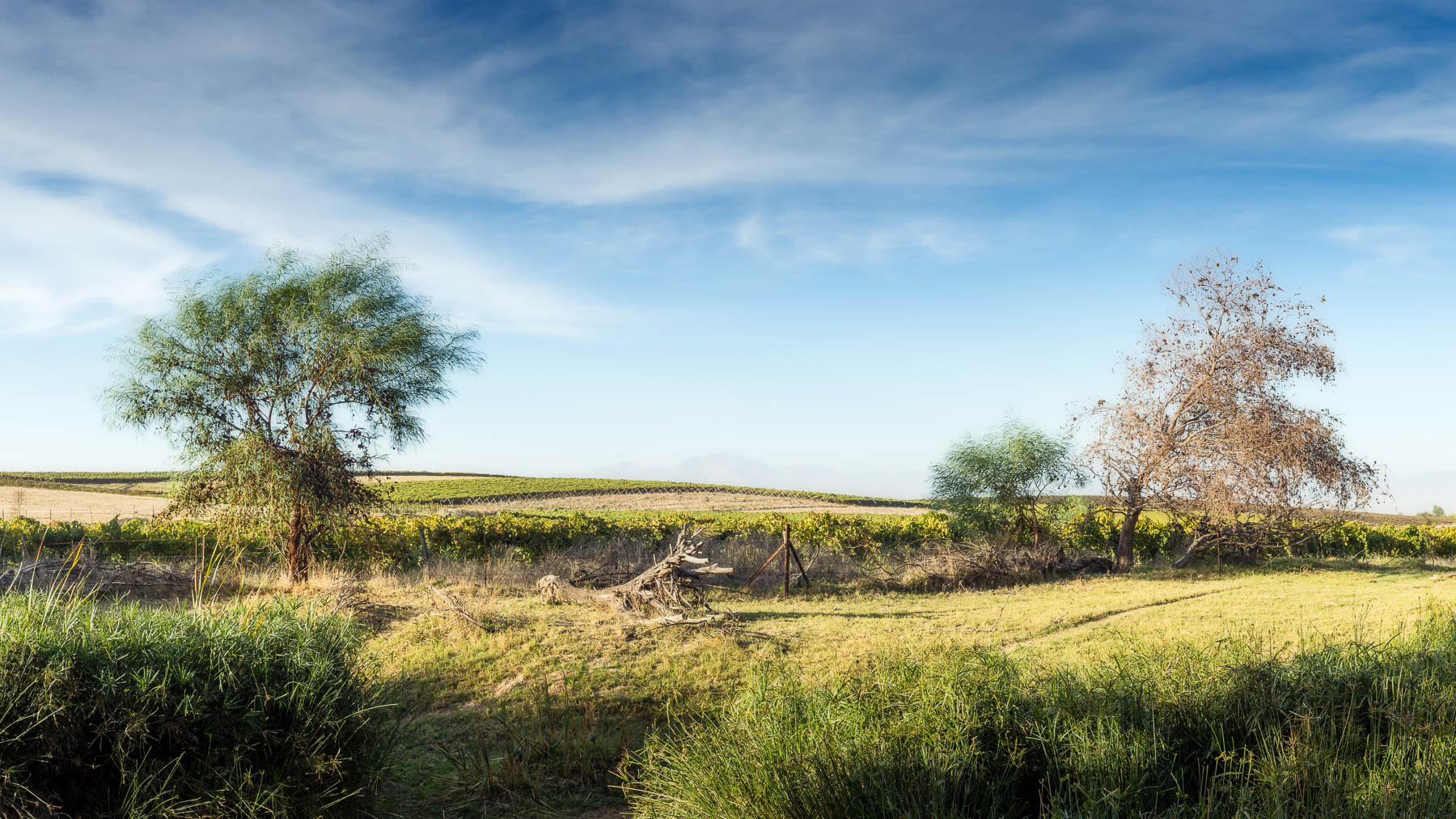 "At The Edge Of The Village"