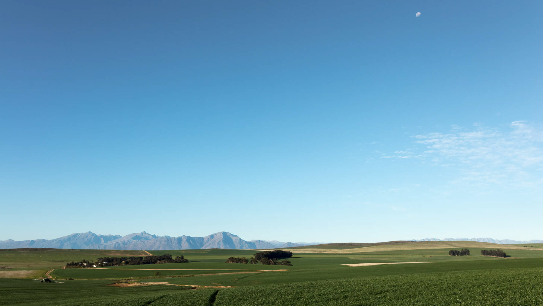 "A Moon Over The Swartland"