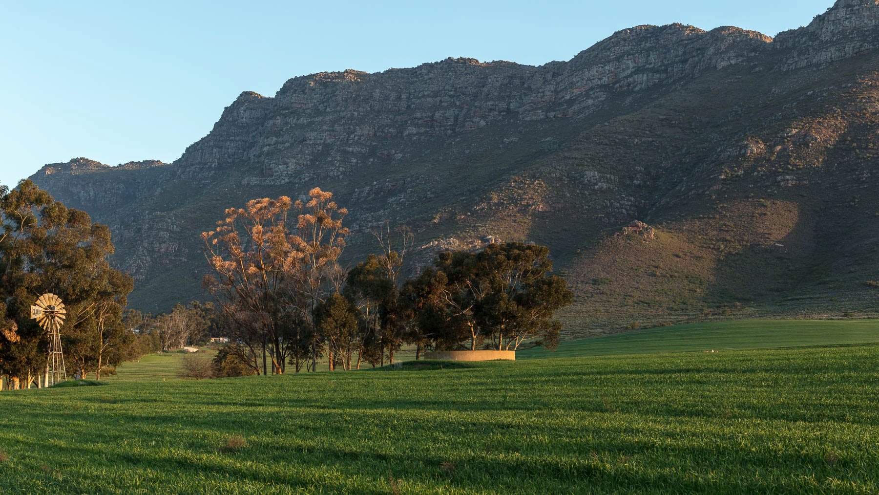 "Late Afternoon Sunlight"