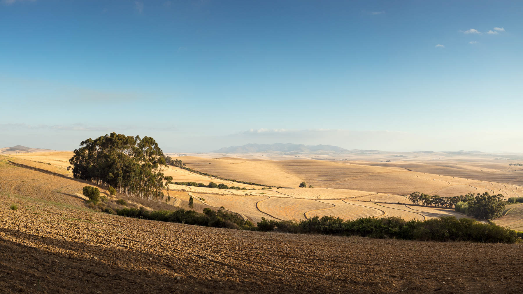 "Across The Valley To The Paardeberg"