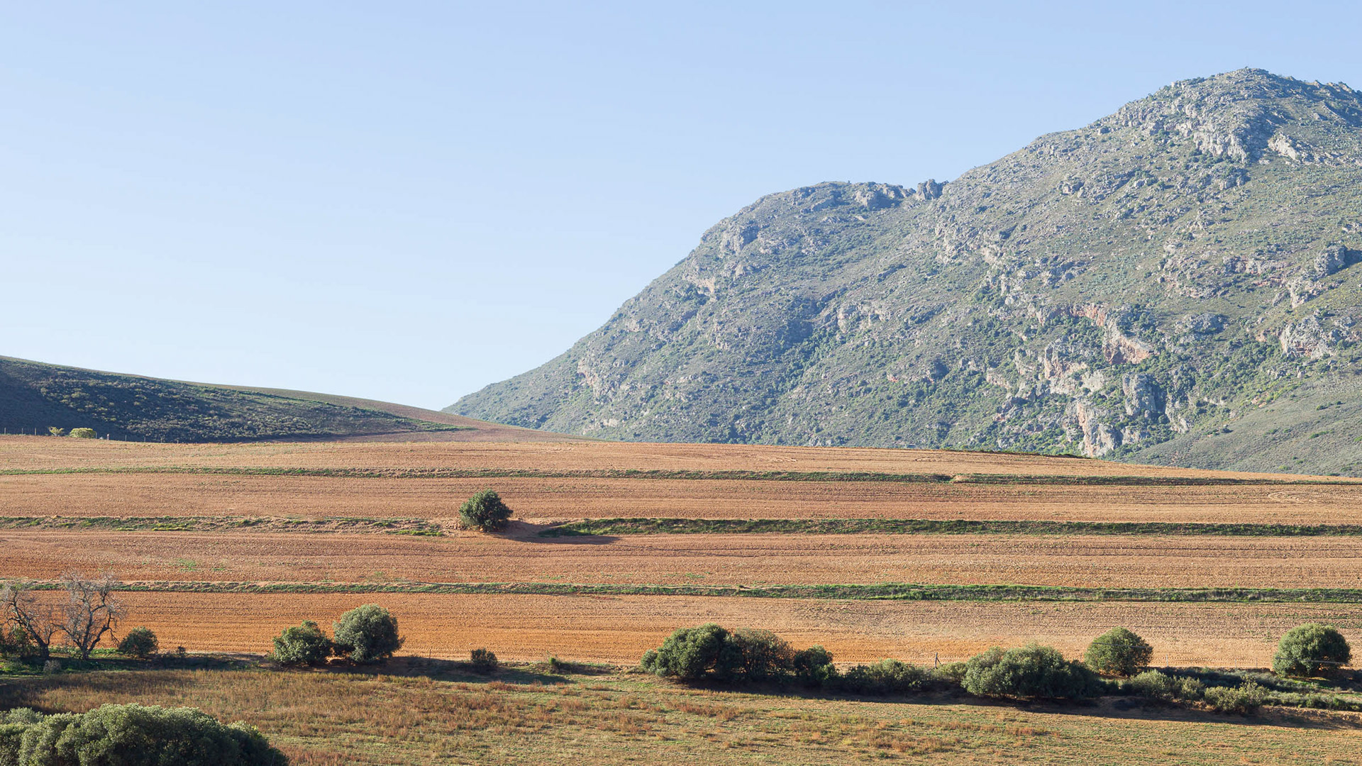 Loan Tree on the Riebeeck's River to Malmesbury road.