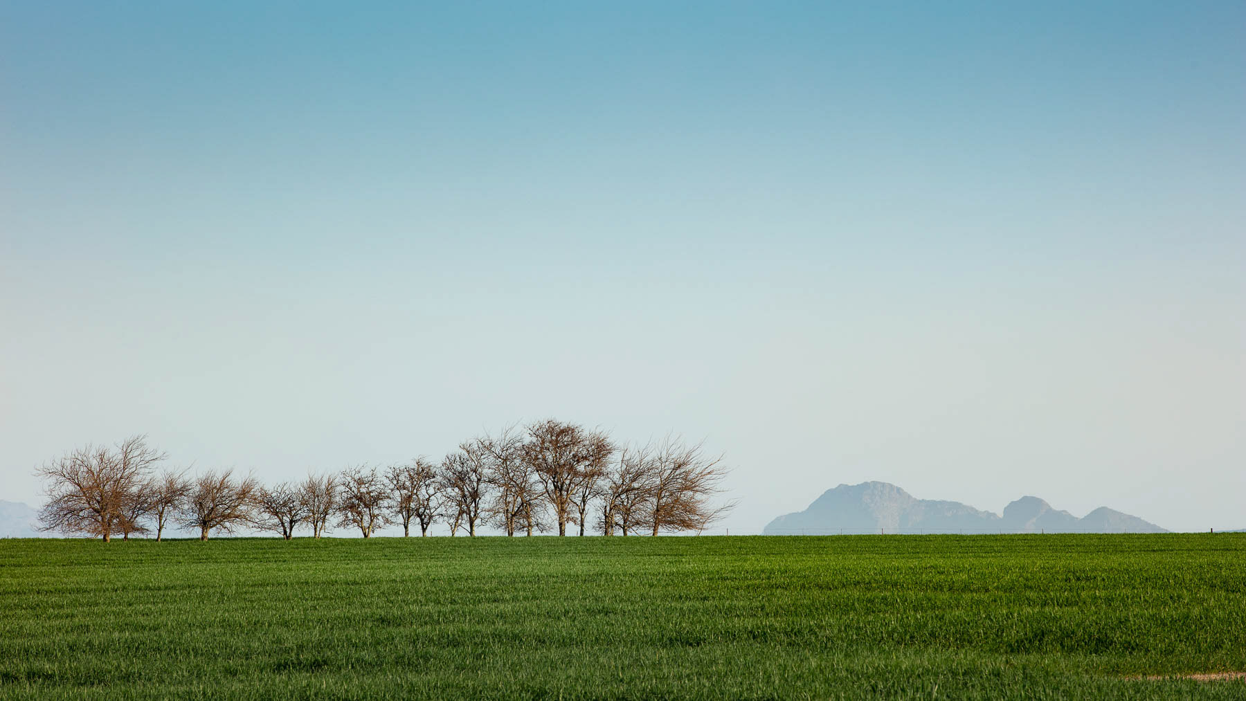 "The Mountain and the Trees Parting"