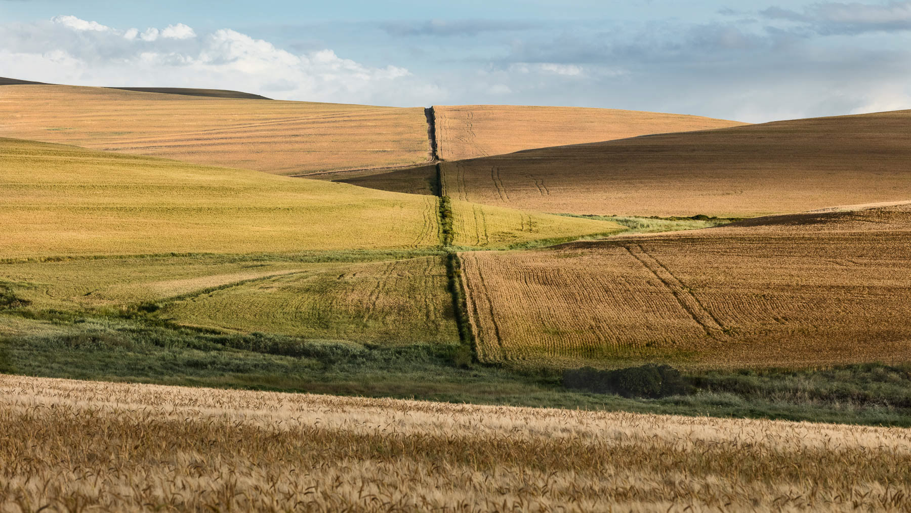 "Curves and Lines"