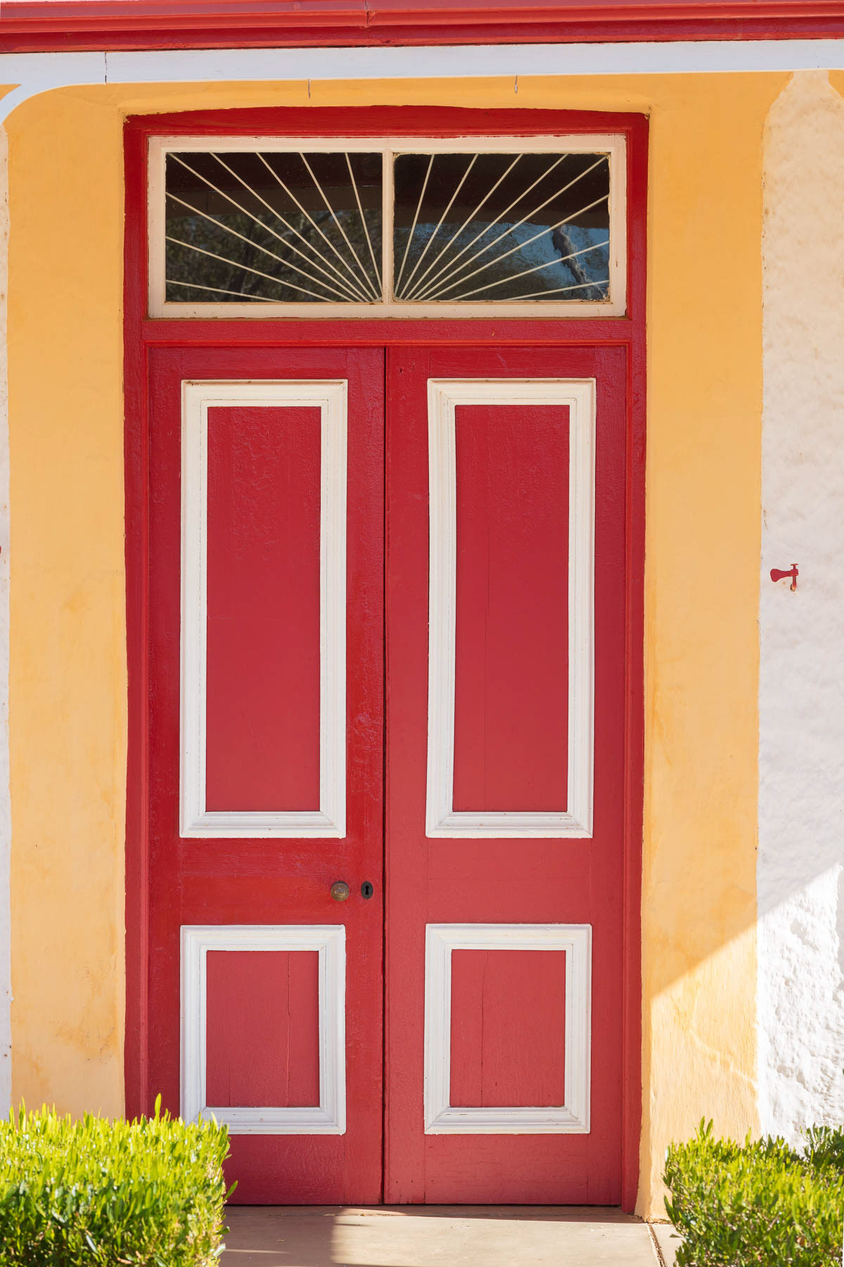 Colour in Prince Albert.