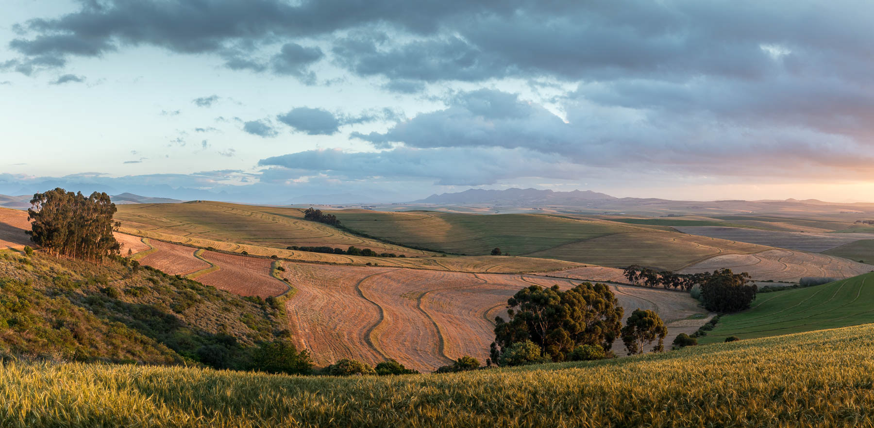 "Paardeberg Across The Valley"