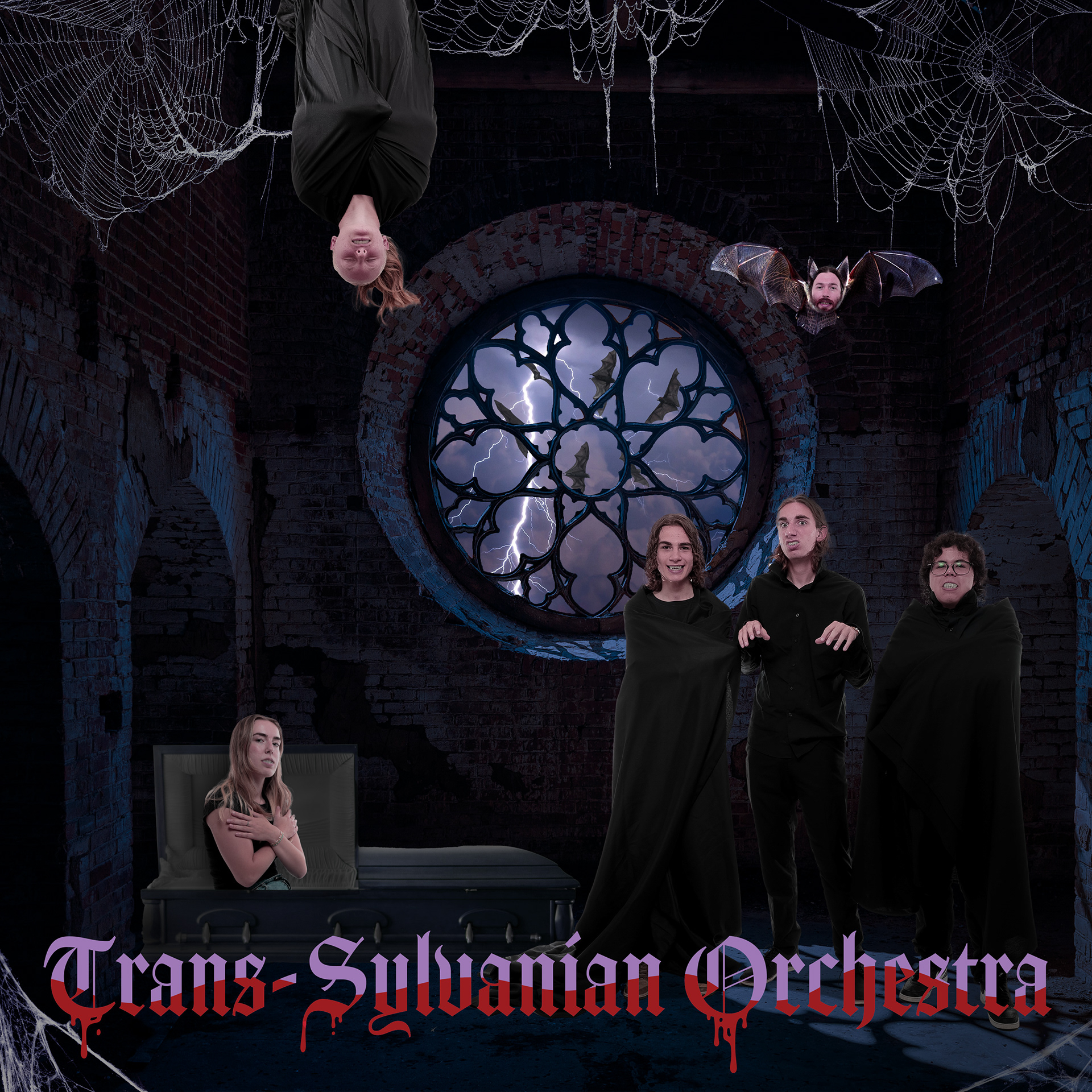 Trans-Sylvanian Orchestra