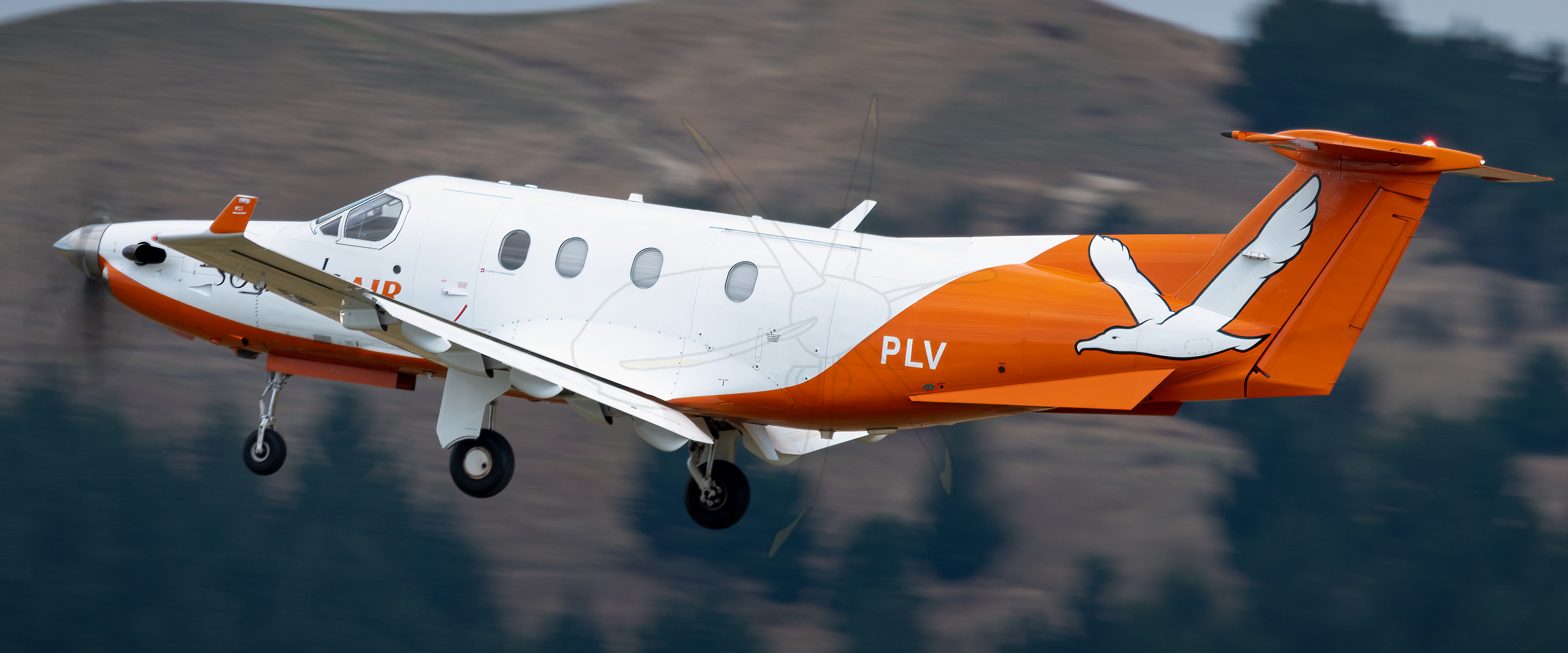 Omaka (NZOM); 400mm, 1/125s, F8.0, ISO 50