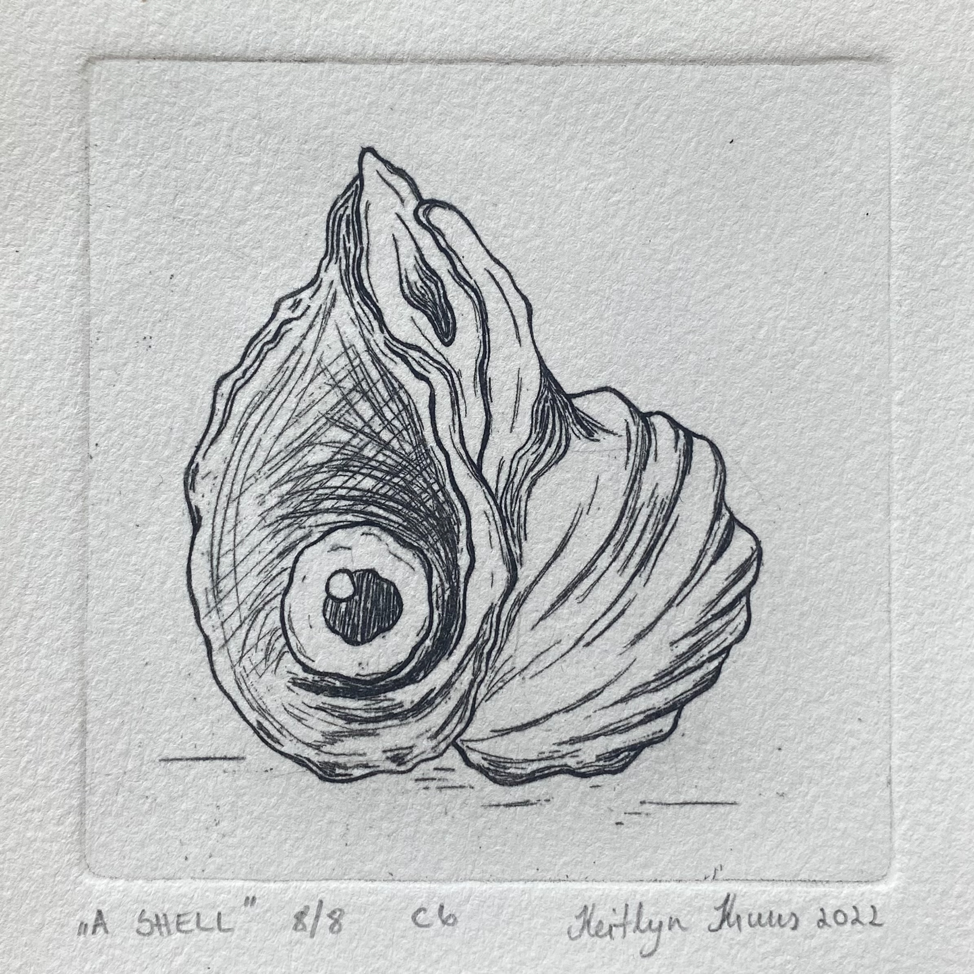 "A shell" 8/8 copper etching 2022