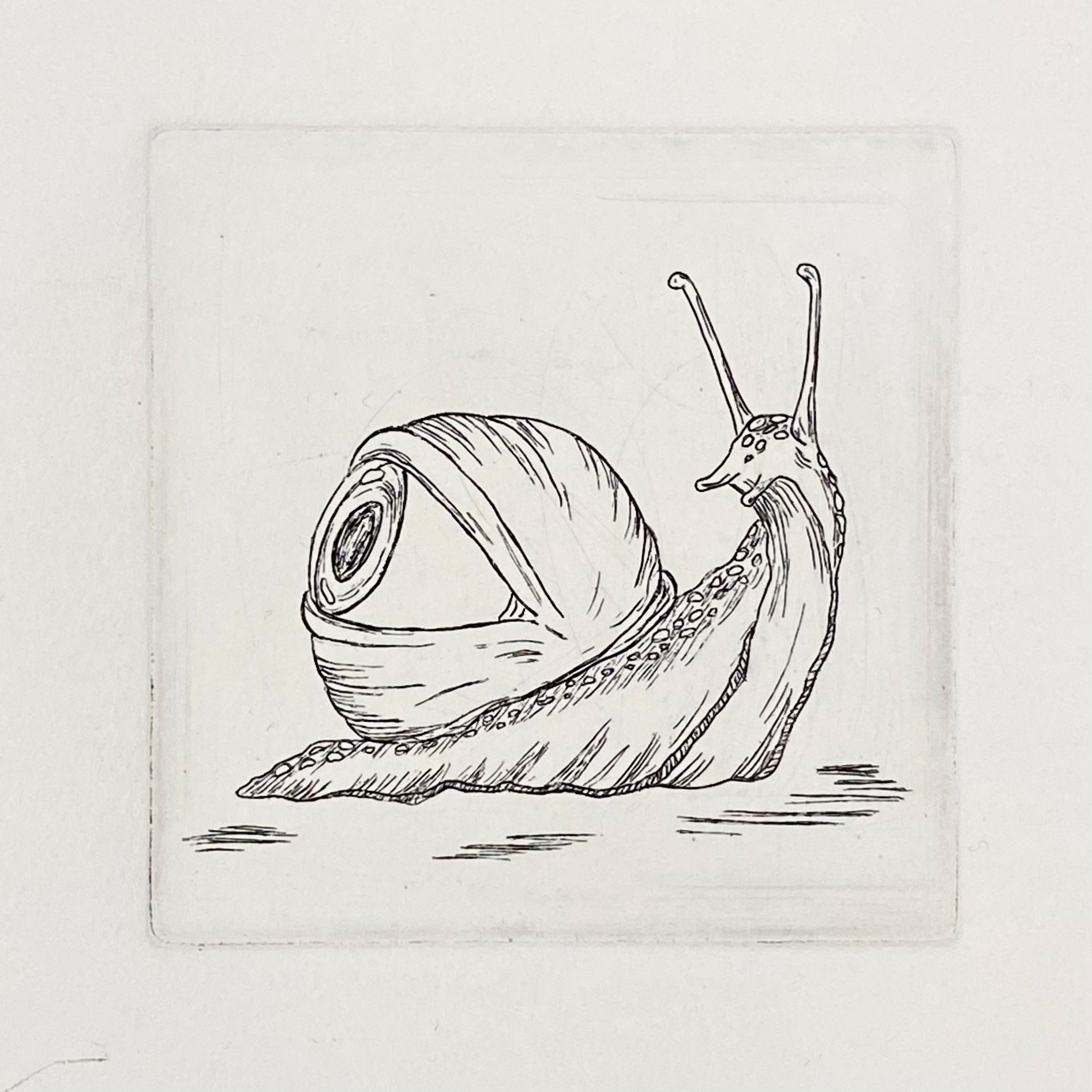 "Surveillance snail" 2/4 2021