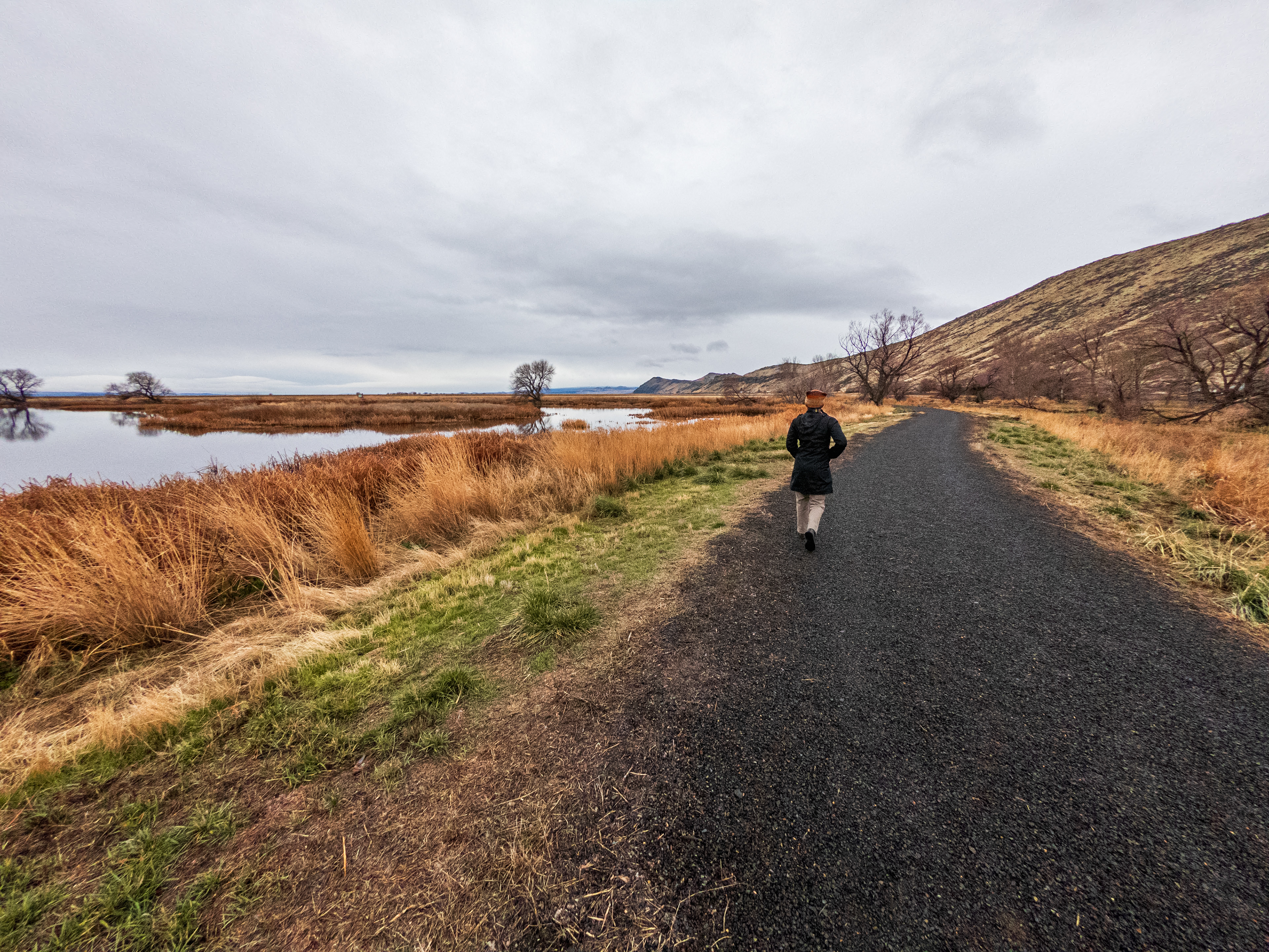 Walking along the Marsh Discovery Loop