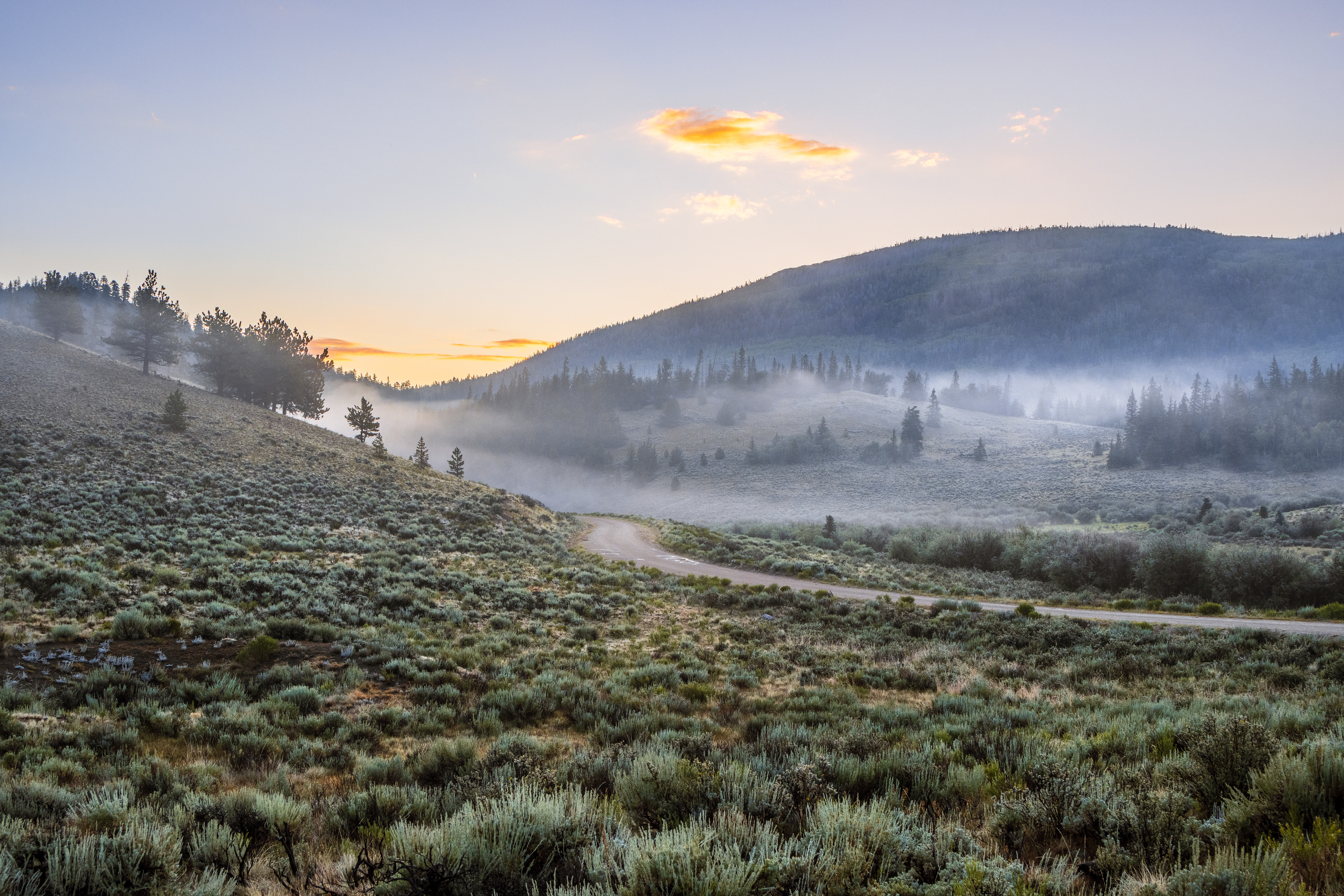 A Misty Morning in the Gunnison National Forest