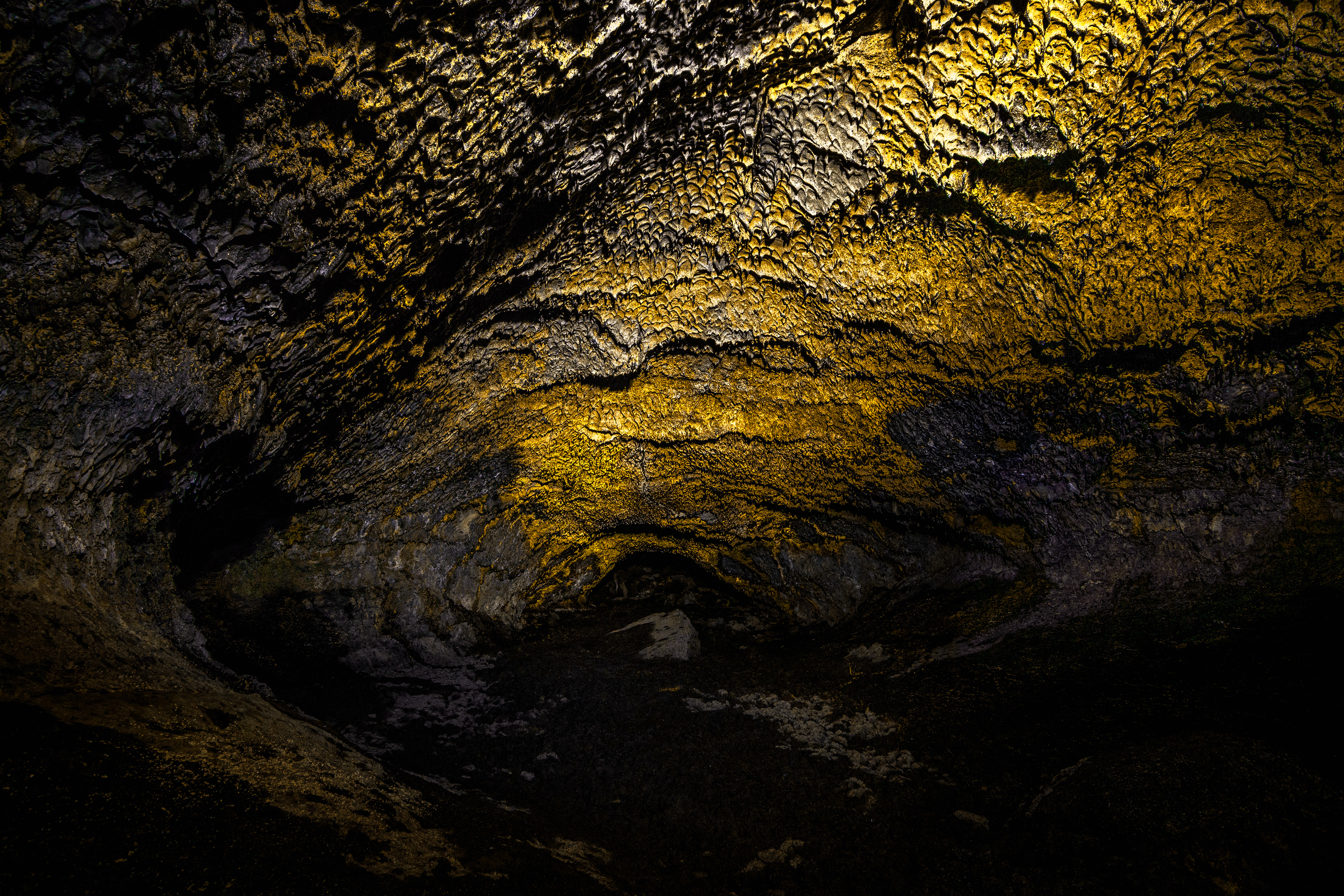 An entire chamber covered in the reflective, golden bacteria of the Golden Dome Cave