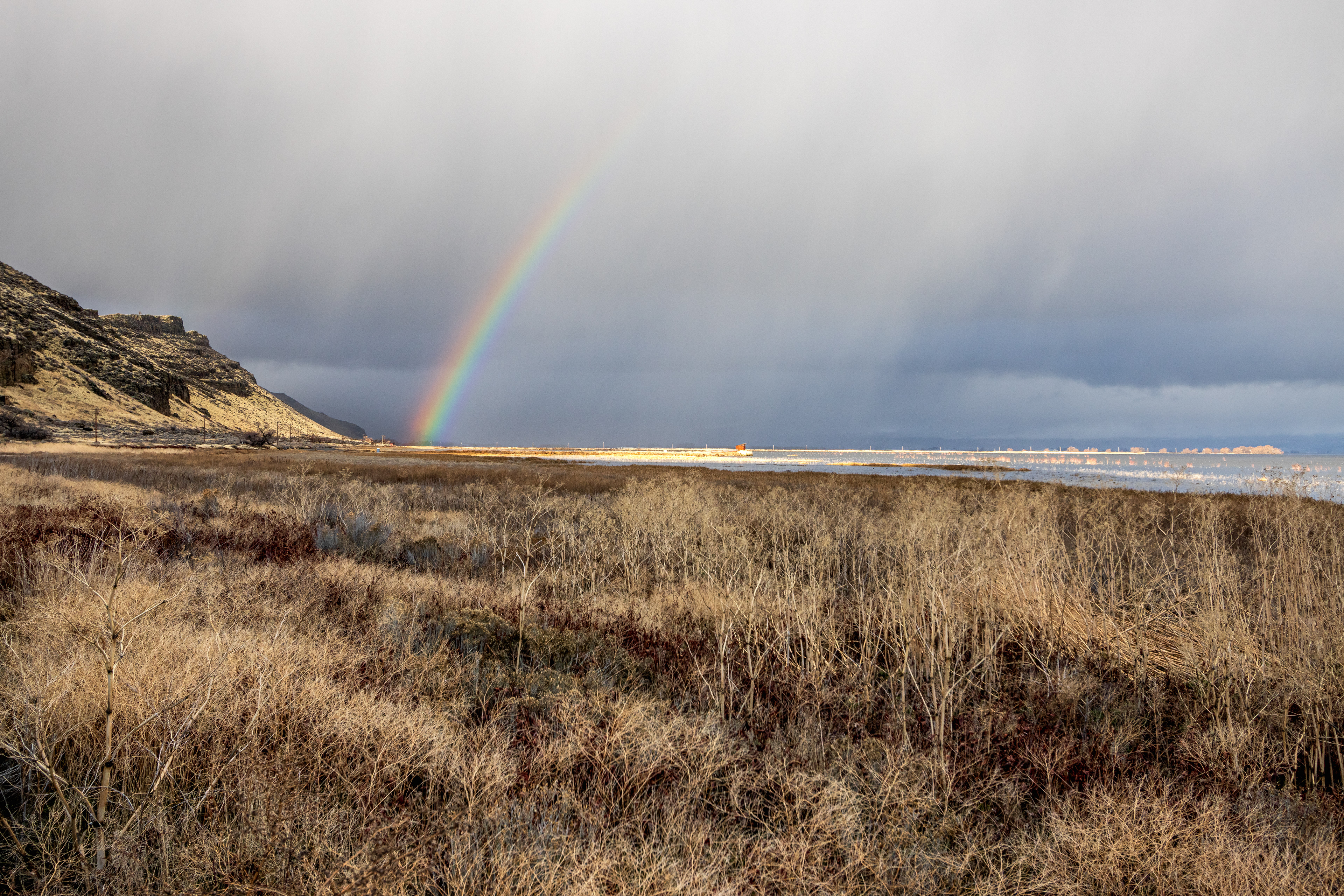 An enormous rainbow seen as left the park