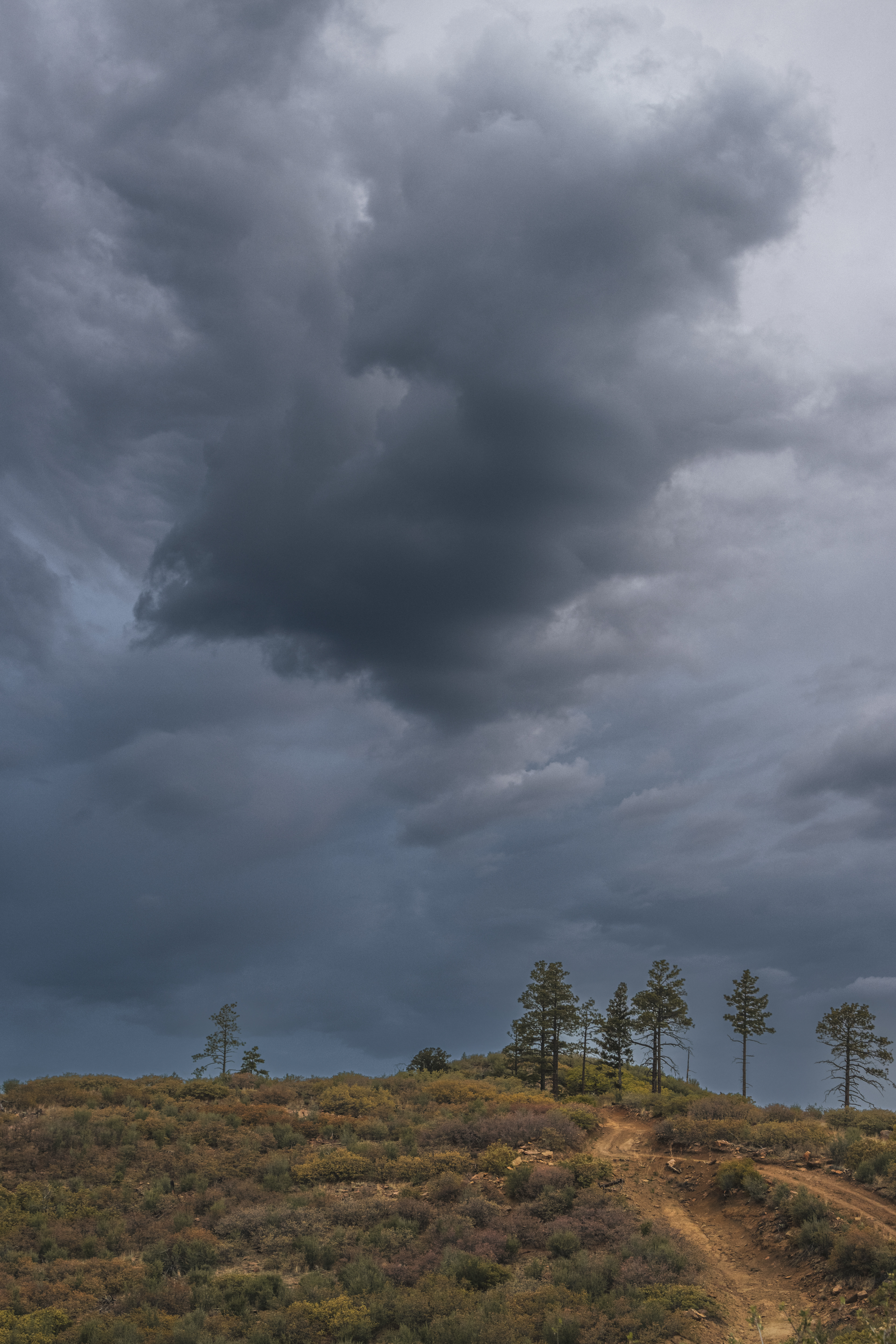 Thunderclouds at Philmont Scout Ranch