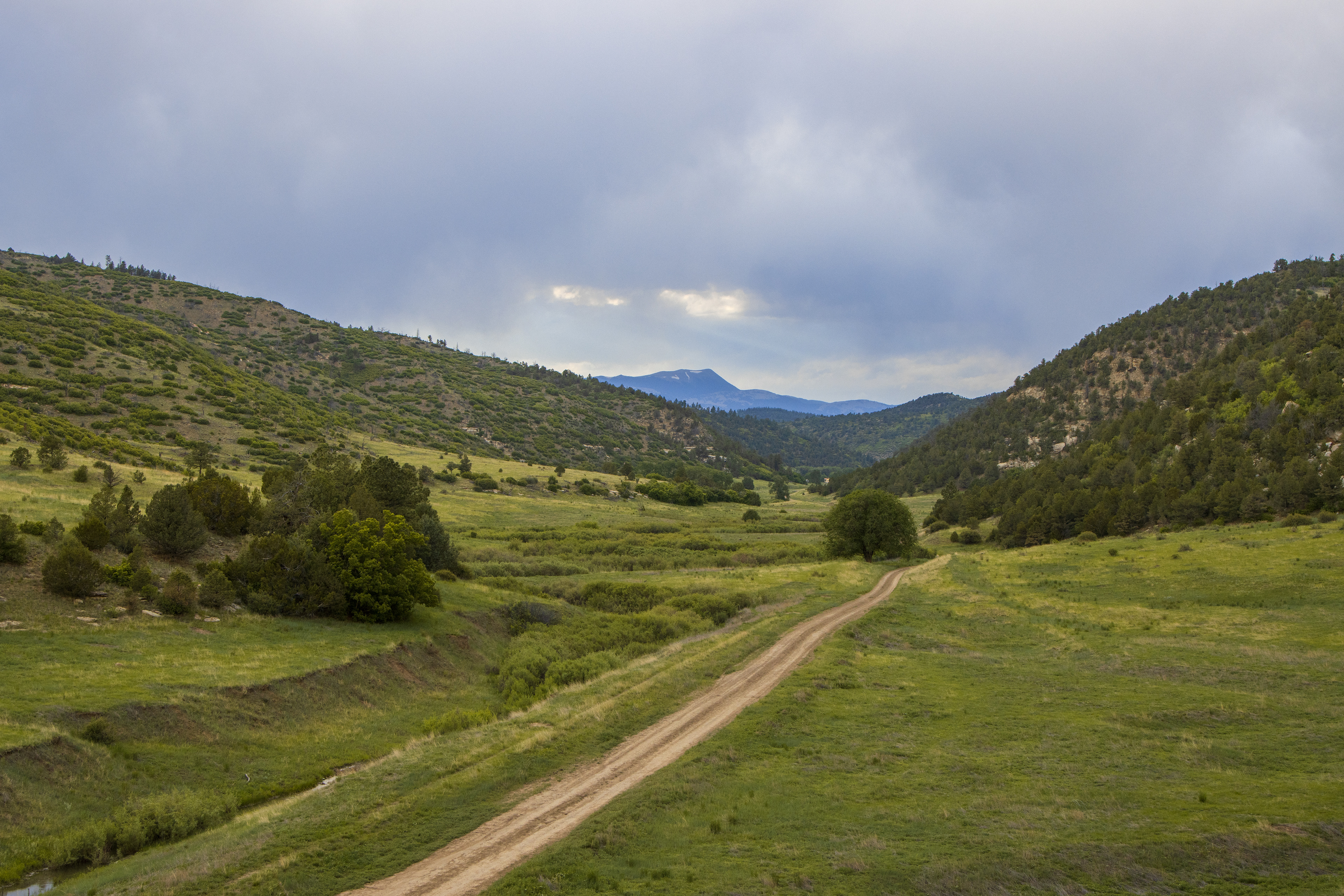 Philmont Scout Ranch