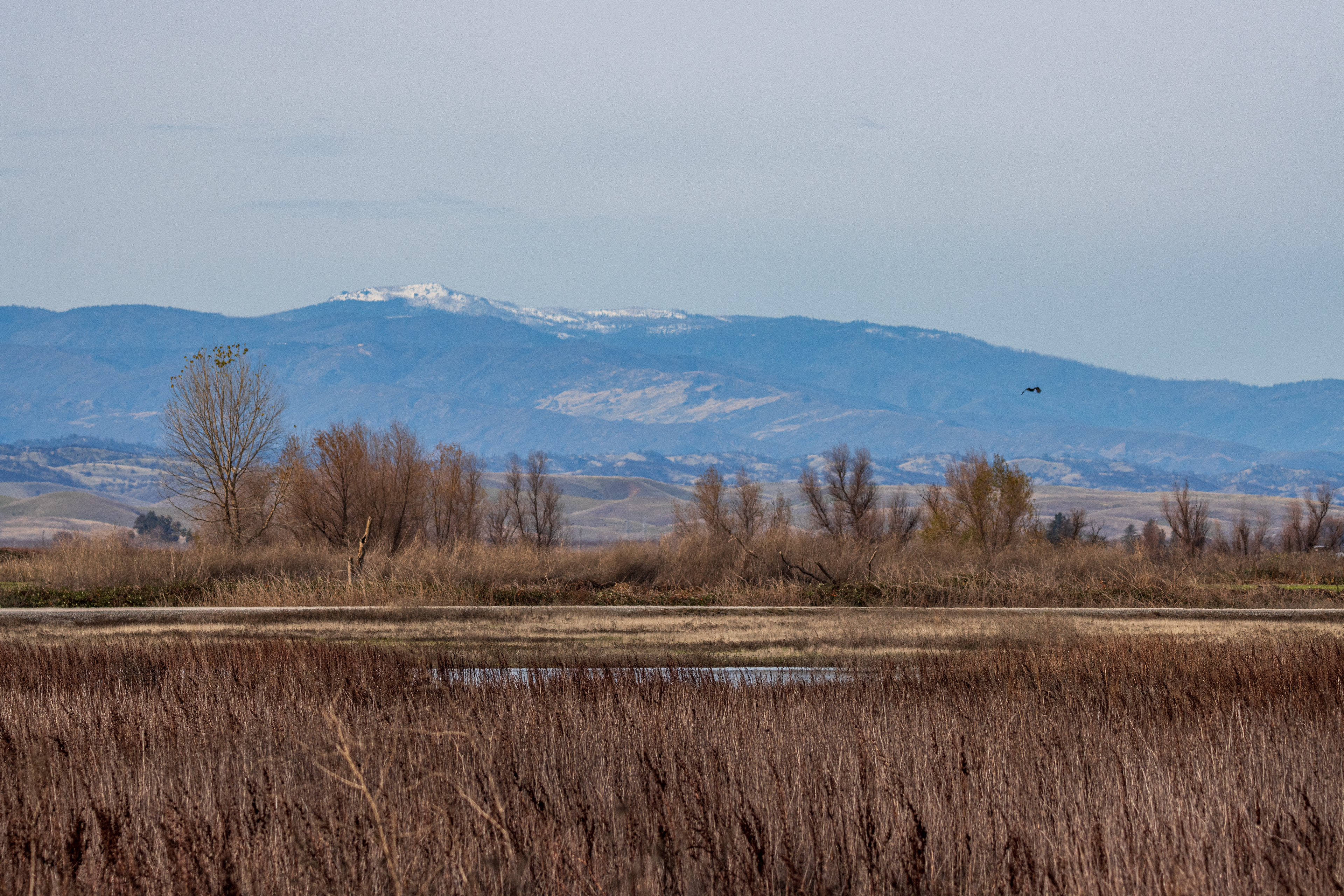 The views from Sacramento National Wildlife Refuge