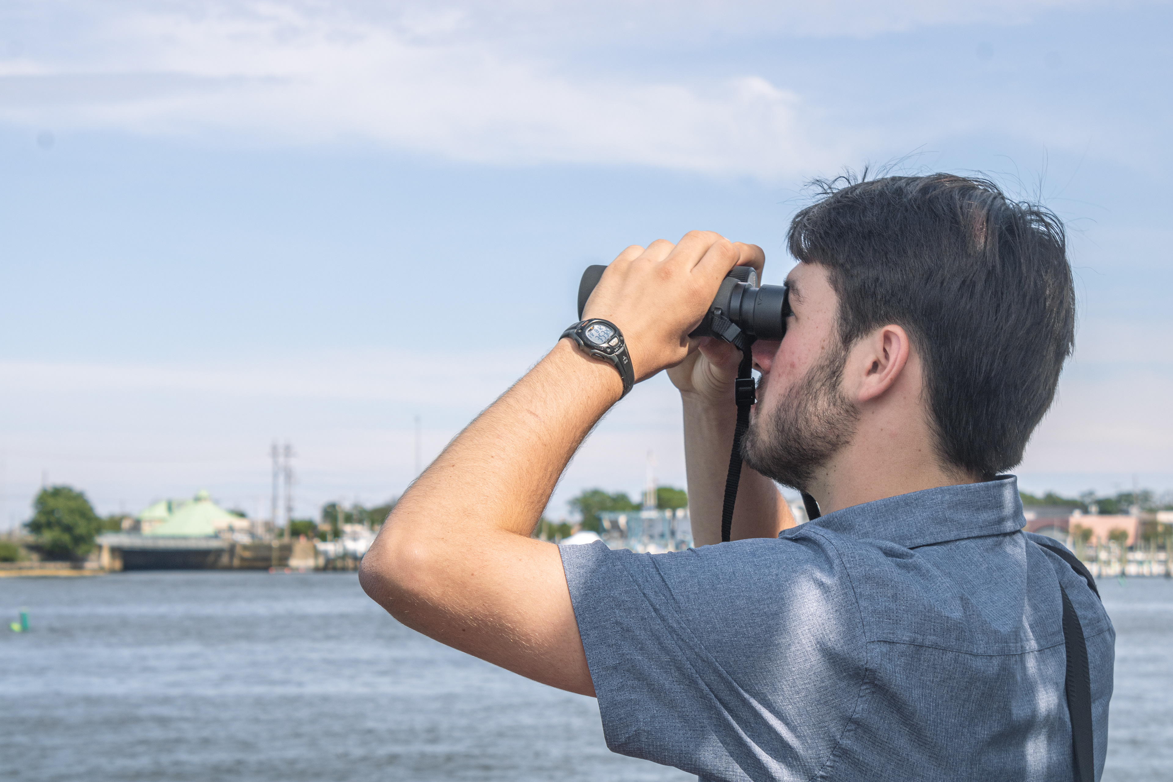 Birdwatching in New Jersey