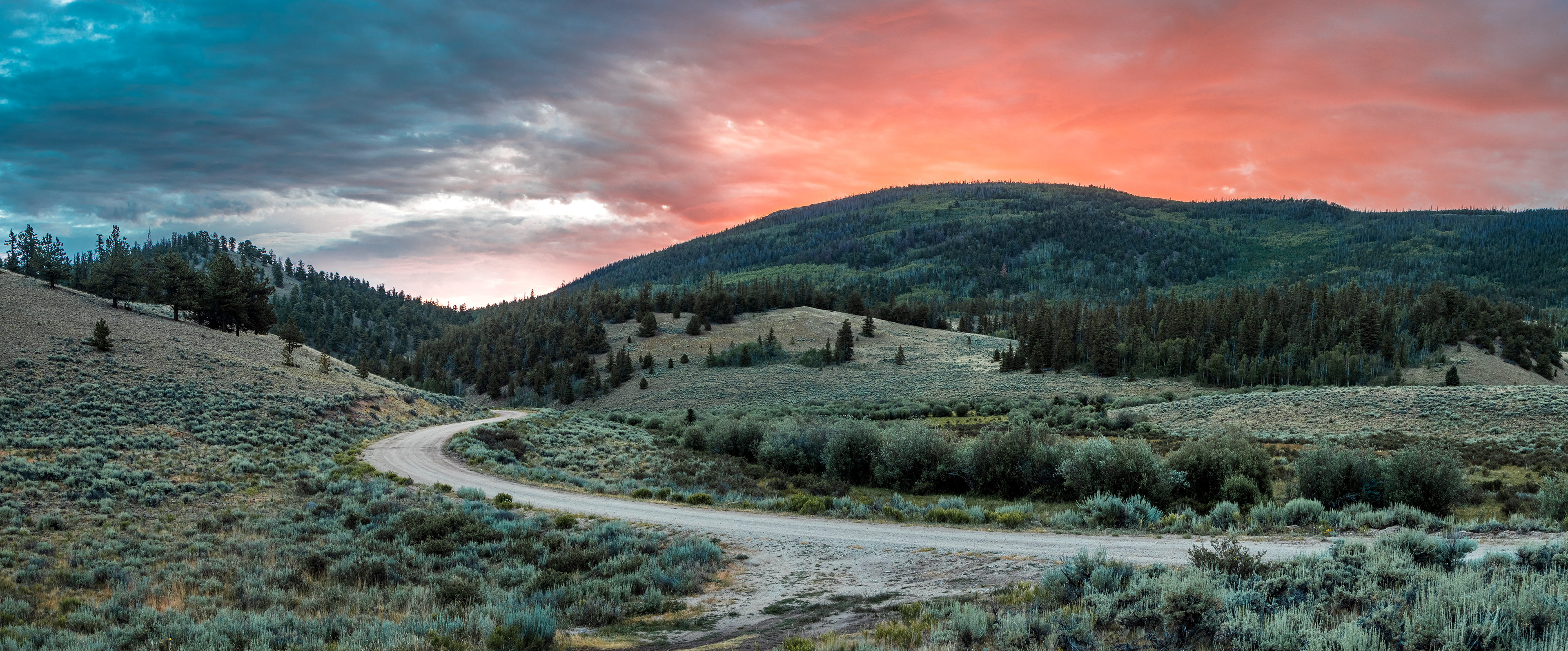 Sunrise in the Gunnison National Forest