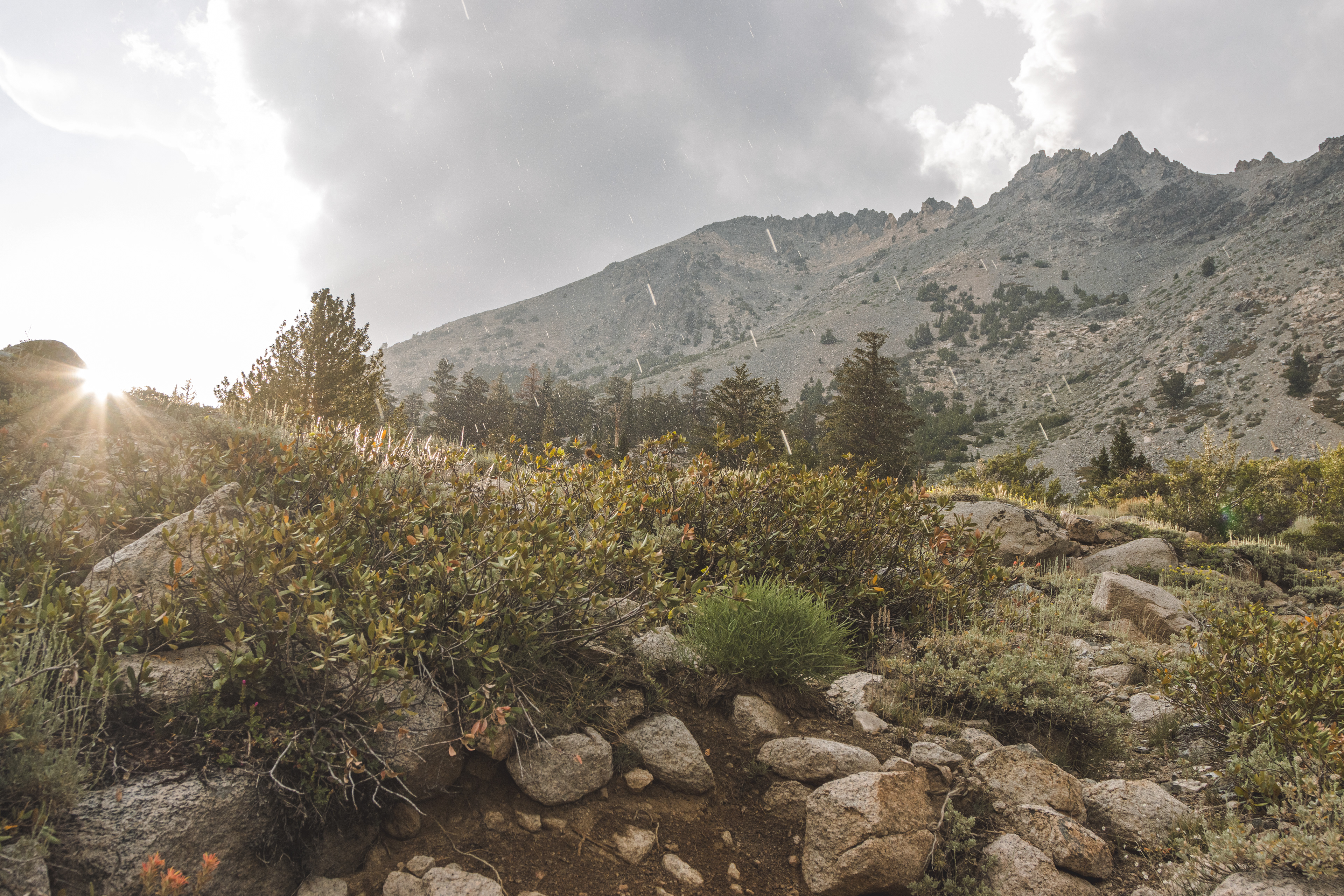 Hail at Sunset in Inyo National Forest