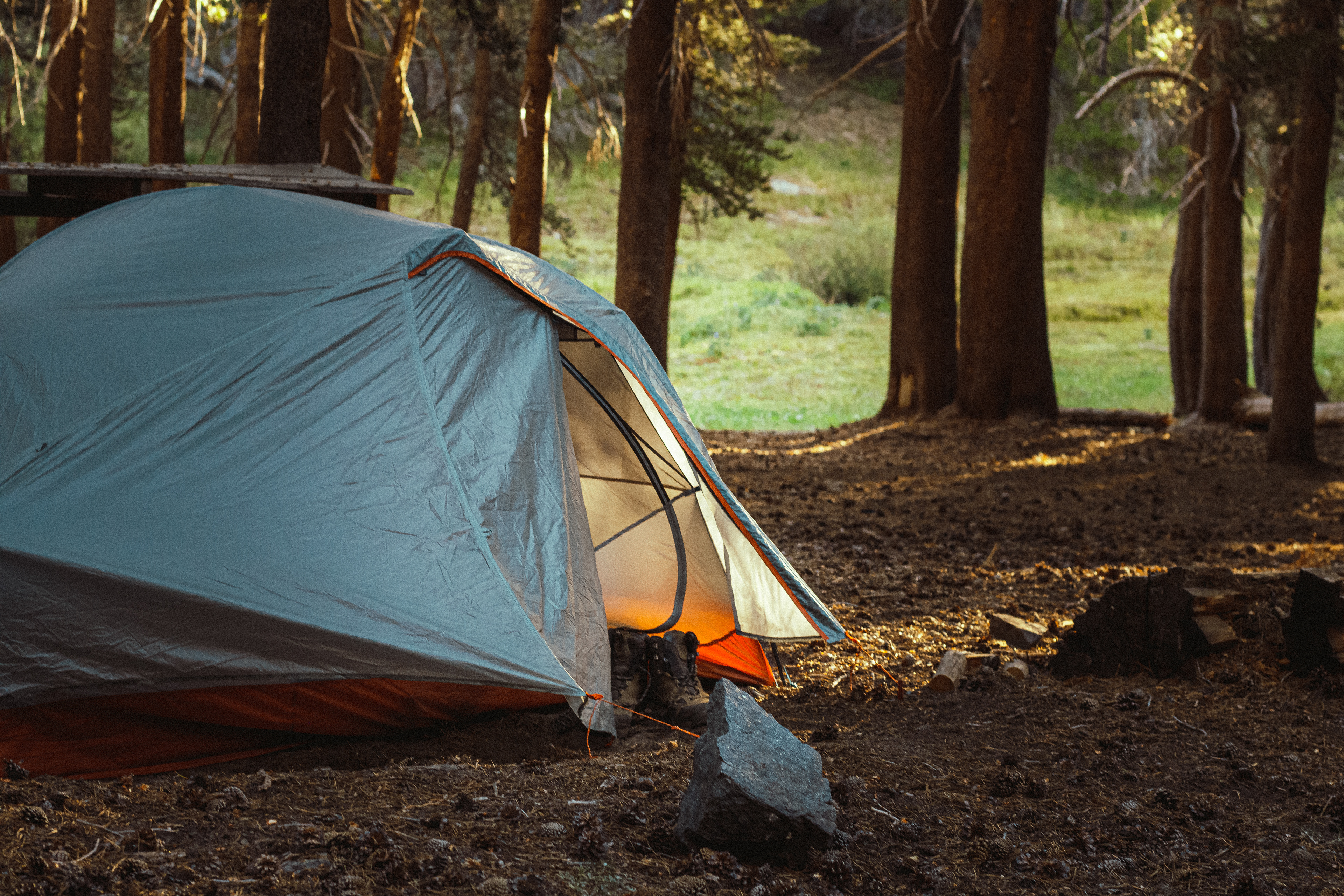 Golden Trout Wilderness