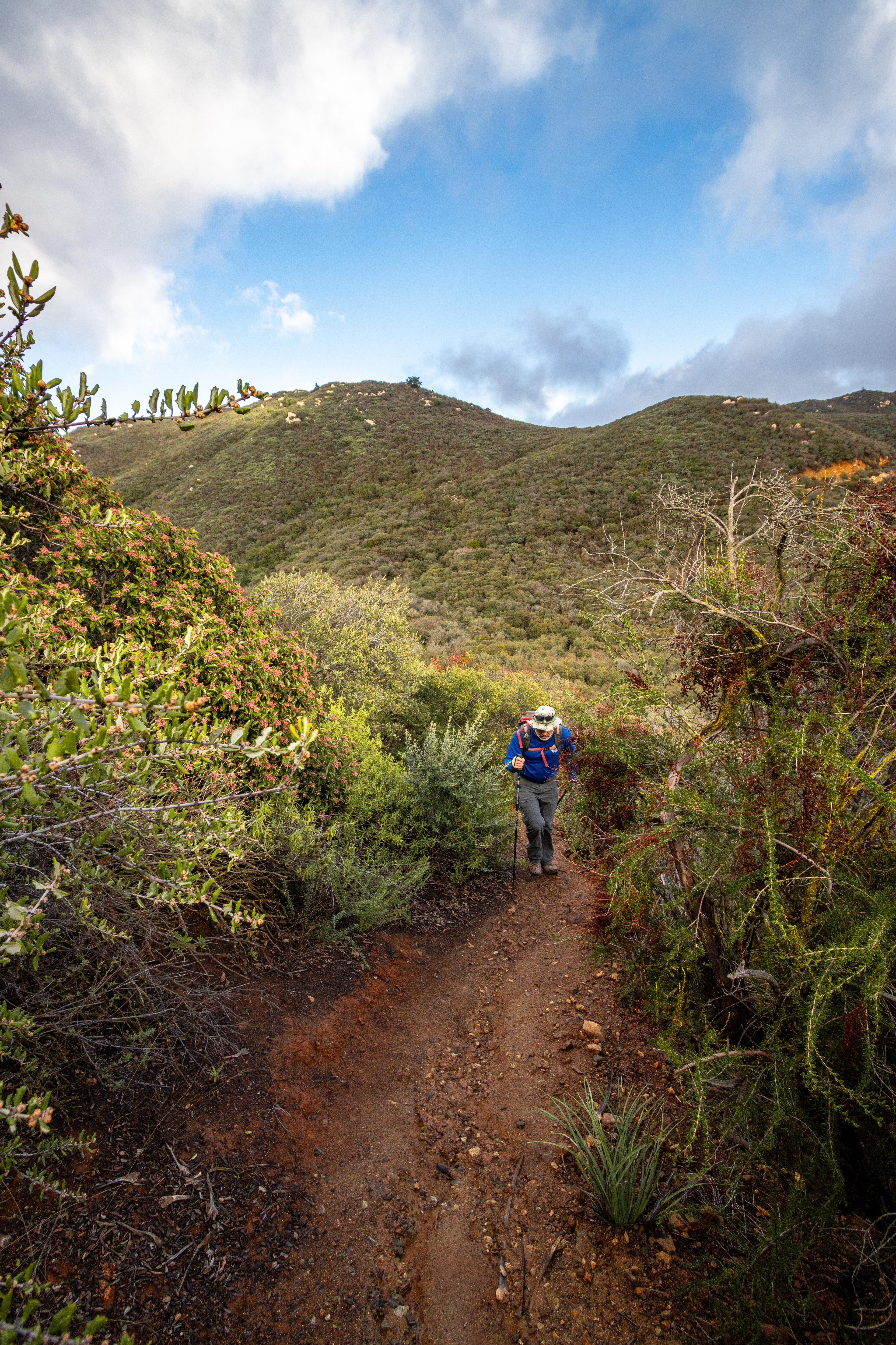 Hiking the Sitton Peak Trail