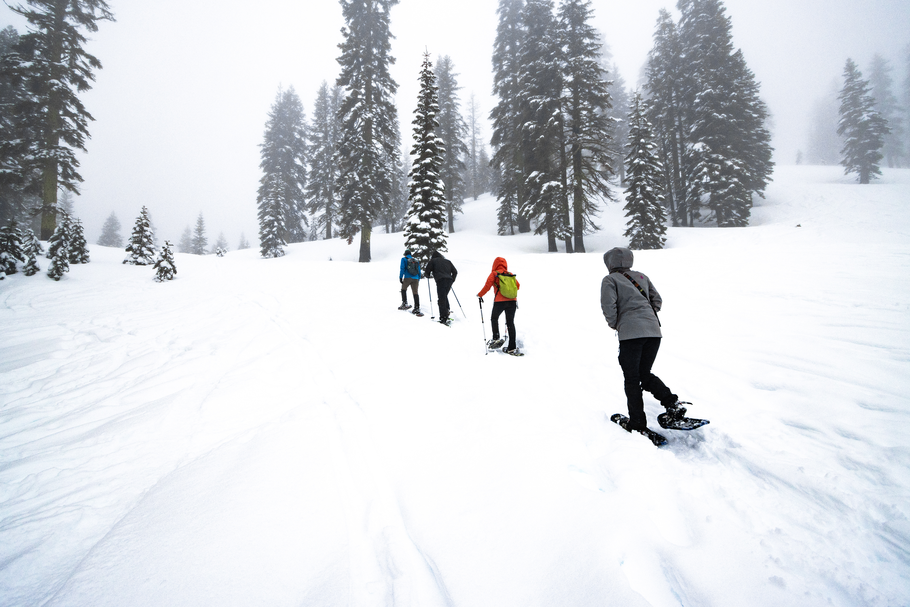 Snowshoeing up to the cabin