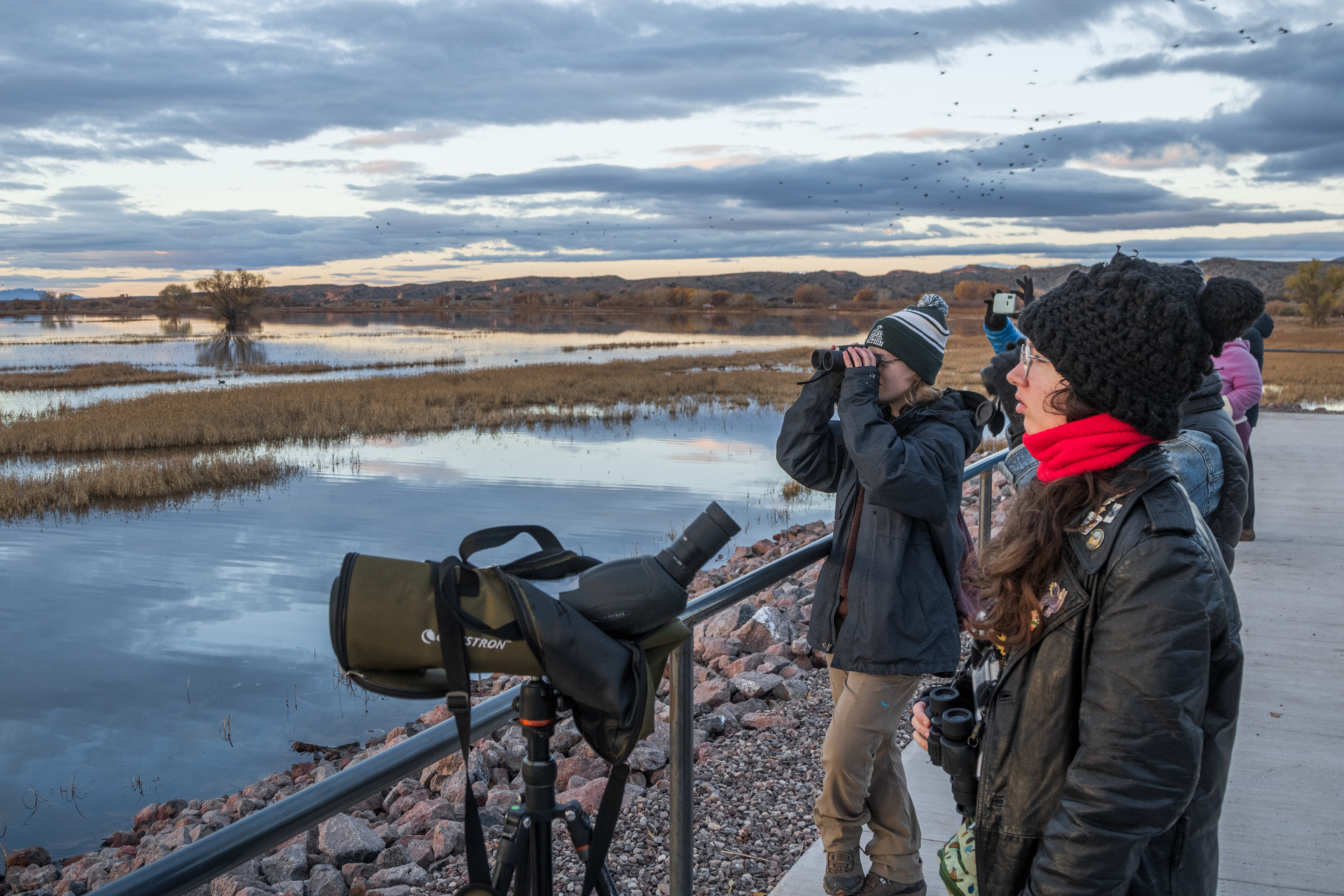 Birdwatcher at Bosque del Apache