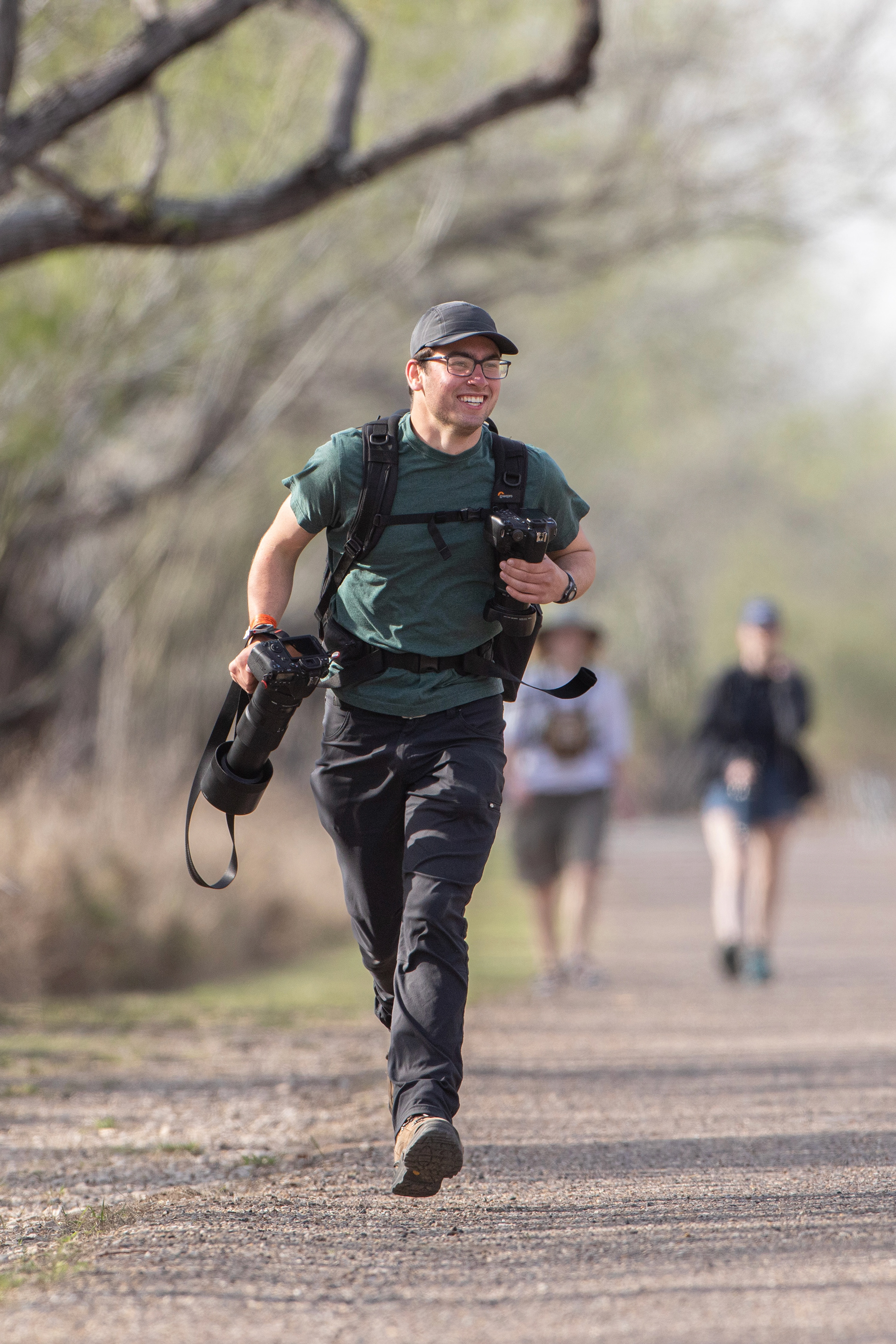 Chasing after a Northern Beardless-Tyrannulet