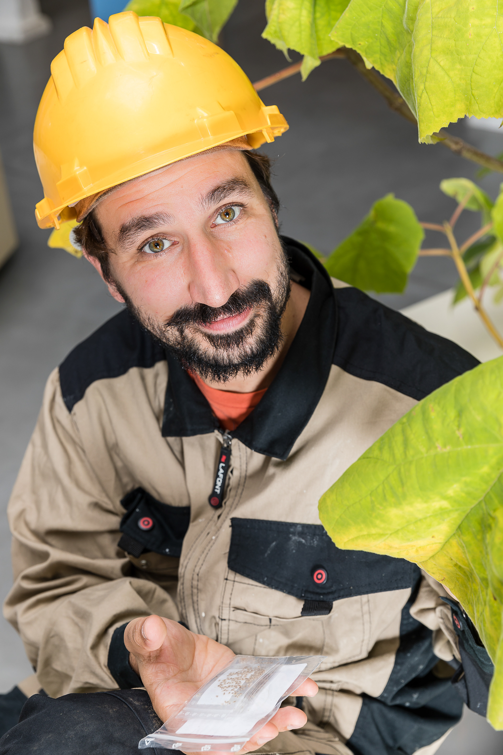 Thierry BOUTONNIER, Artiste plasticien