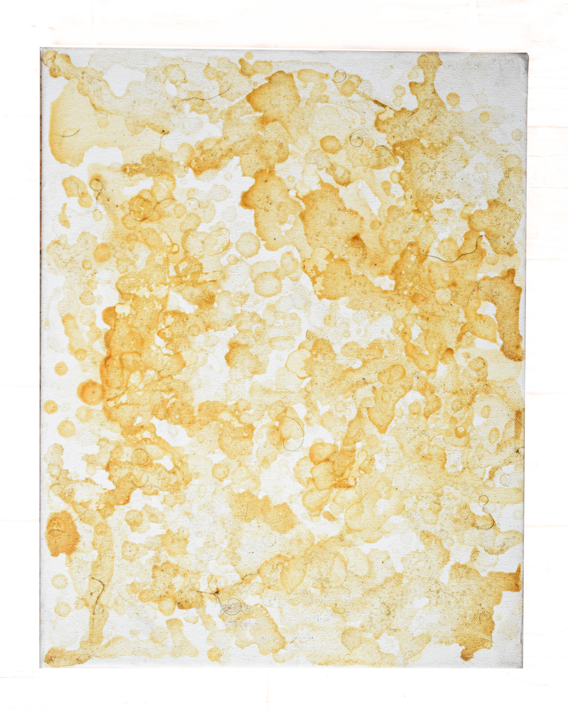 Jerk off, 2021 14 x 18,  sperm on canvas