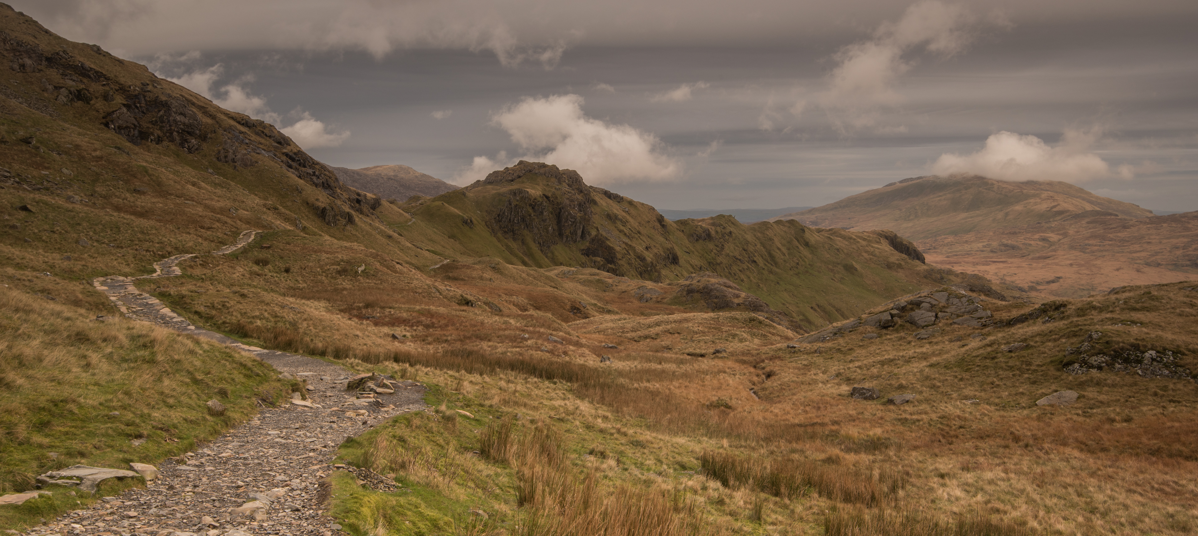 Pyg Track