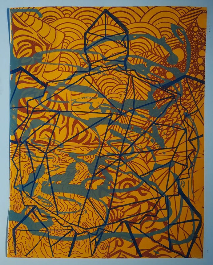 abstract print with multiple patterns going from the center outwards, and on top it has a turtle in a geometric line form