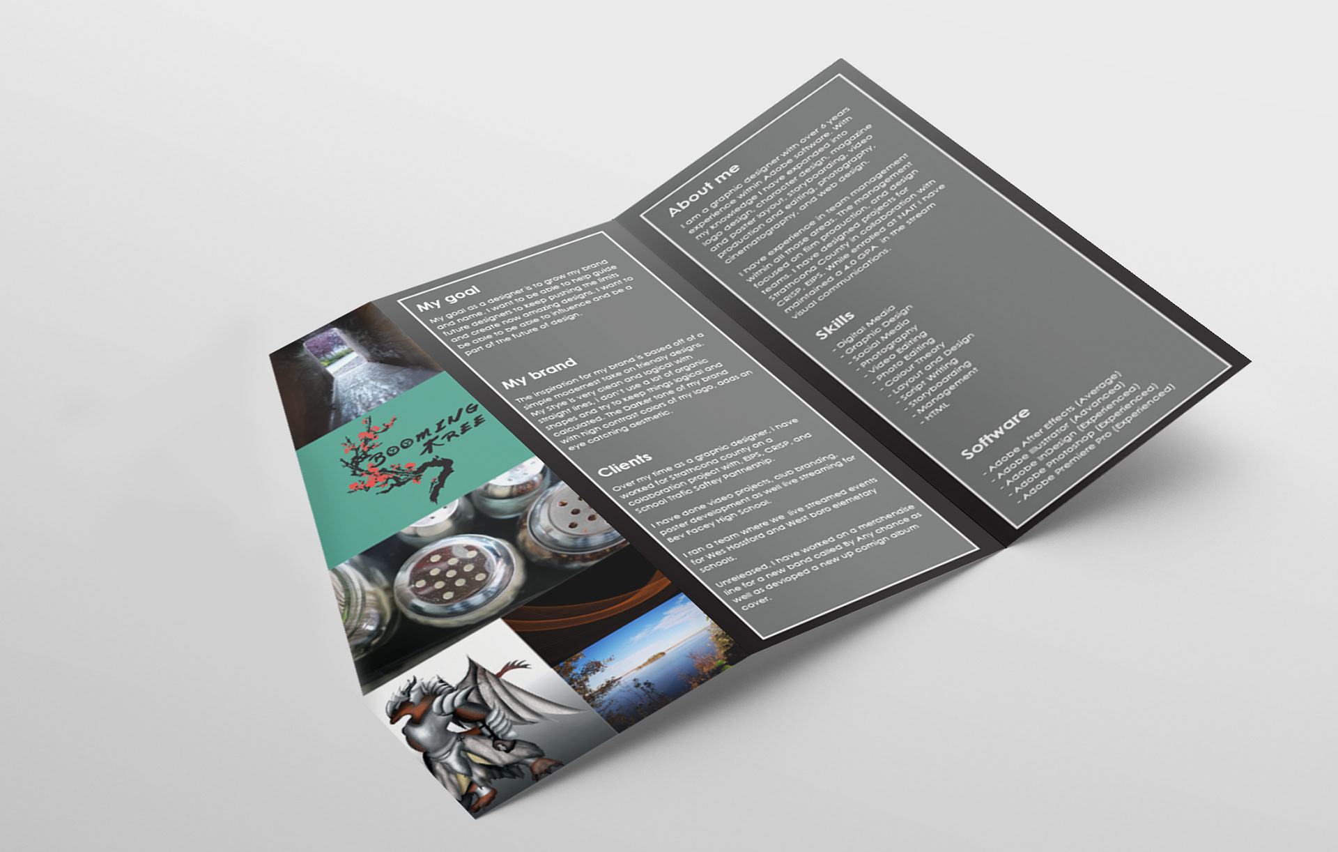 Promotional brochure Render