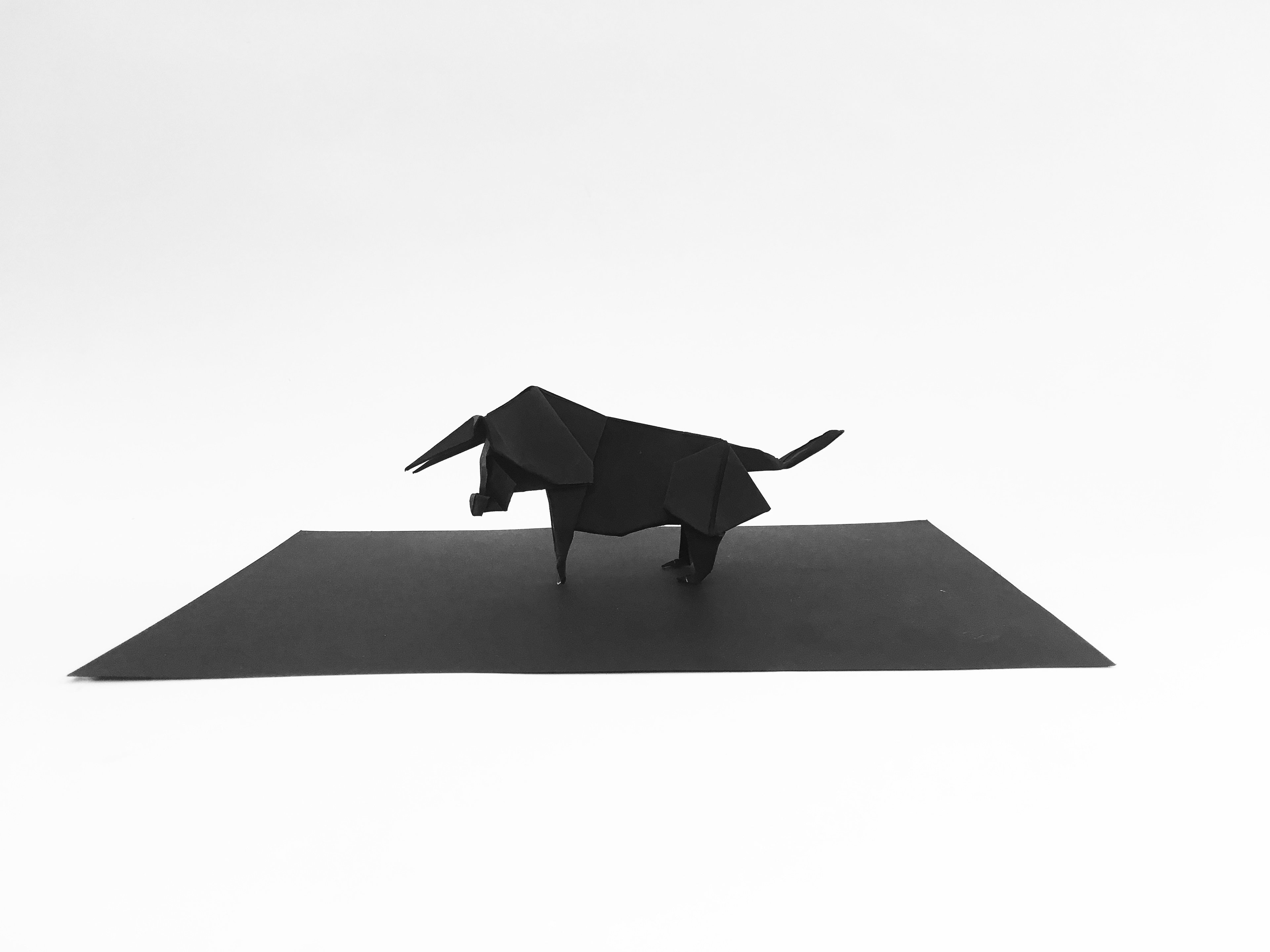Origami Bull ready for it's photoshoot