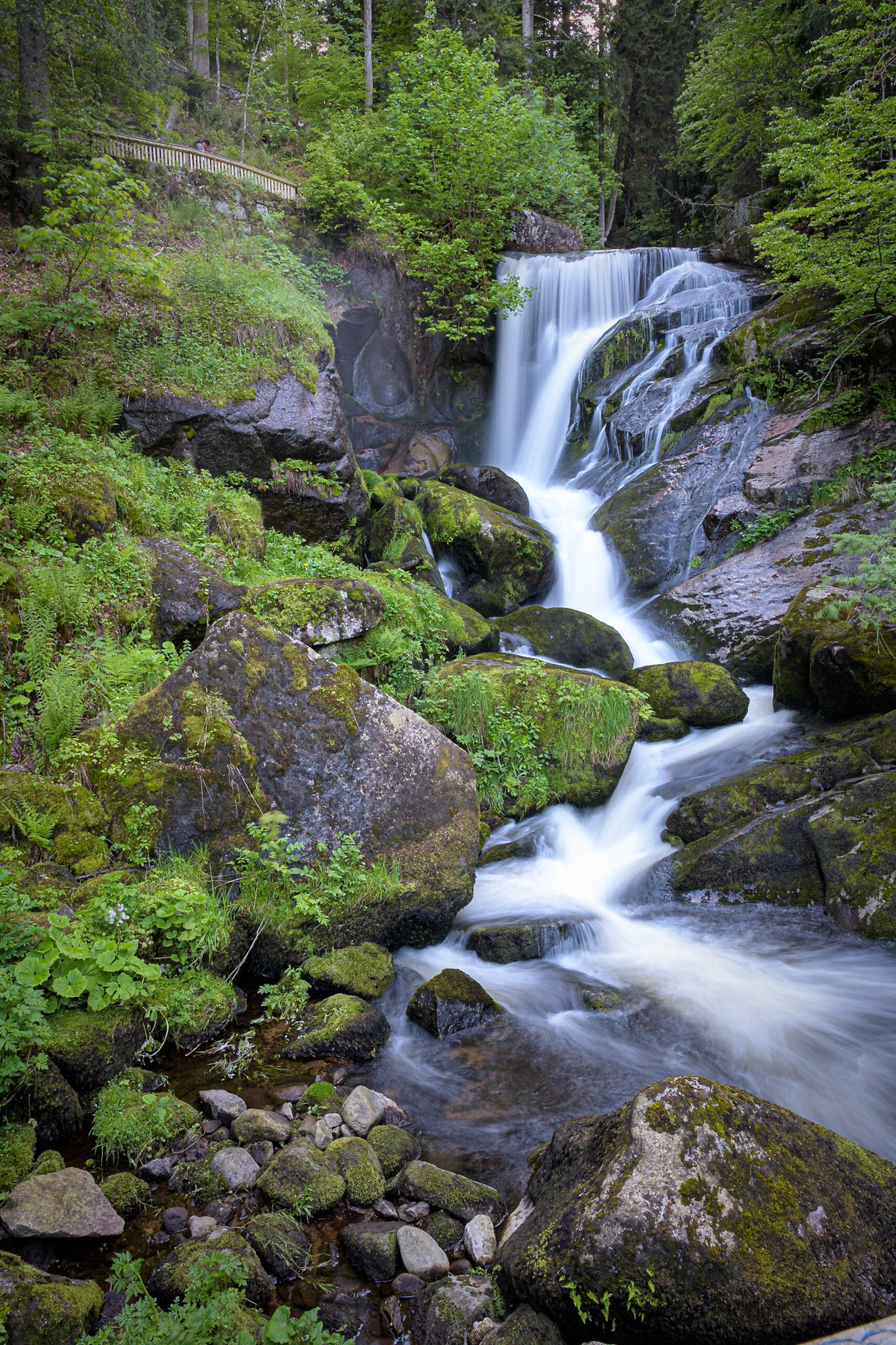 Triberg Falls is one of the highest waterfalls in Germany with a descent of 163 m, and is a landmark in the Black Forest region. Above Triberg, in the midst of Black Forest, the Gutach river plunges over seven major steps from a gently undulated high plain into a rocky V-shaped valley...