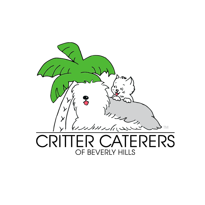 Branding for a WAY AHEAD OF IT'S TIME company from the early 1990s that failed about a decade before the surge in pet pampering companies became popular