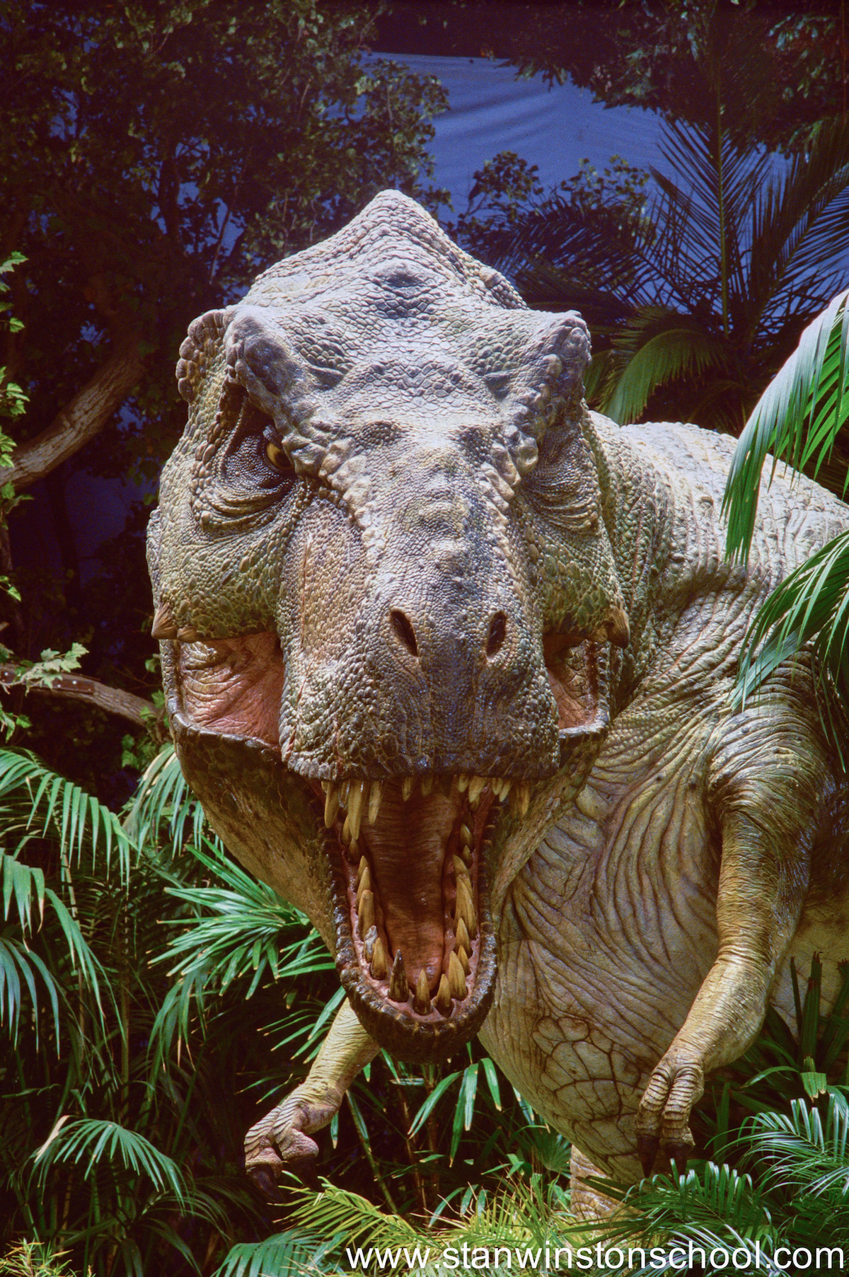 Production photo taken at the Universal Studios Lost World set.