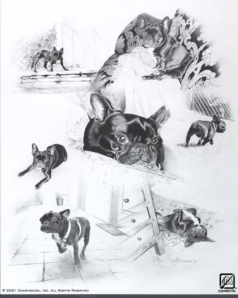 Commissioned Doggie Portrait. Pencil on cold press artboard.