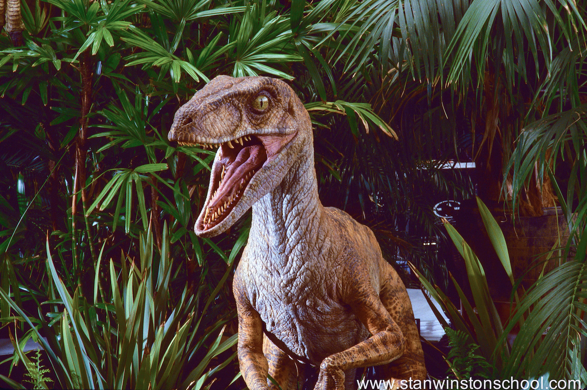 Production photo taken at the Universal Studios Lost World set.