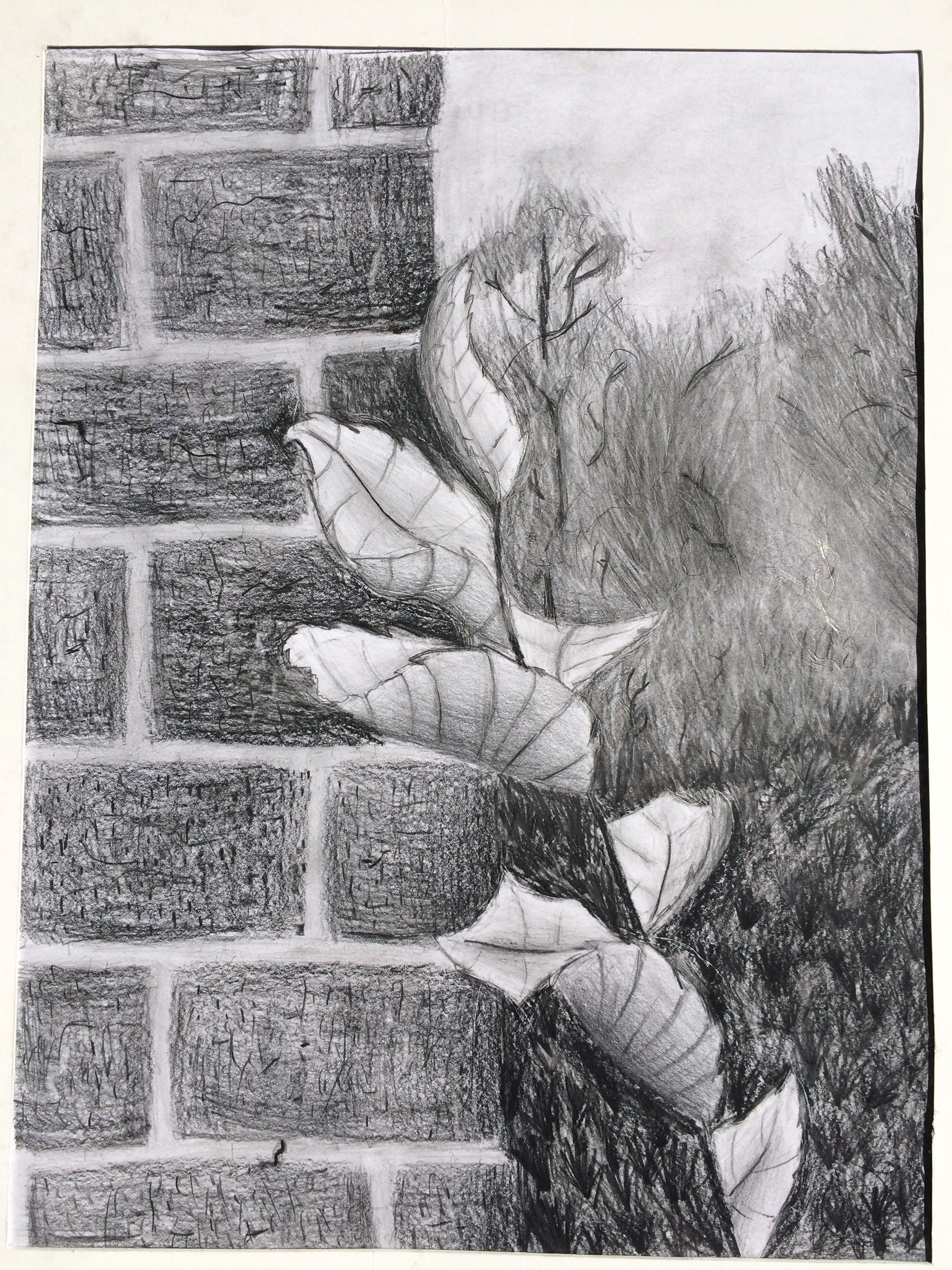 still life