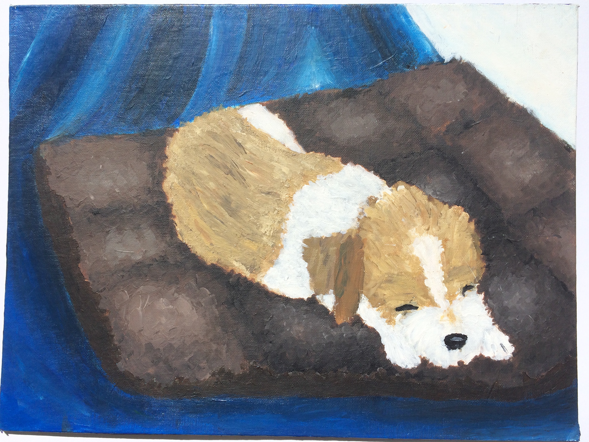 Acrillic still-life
