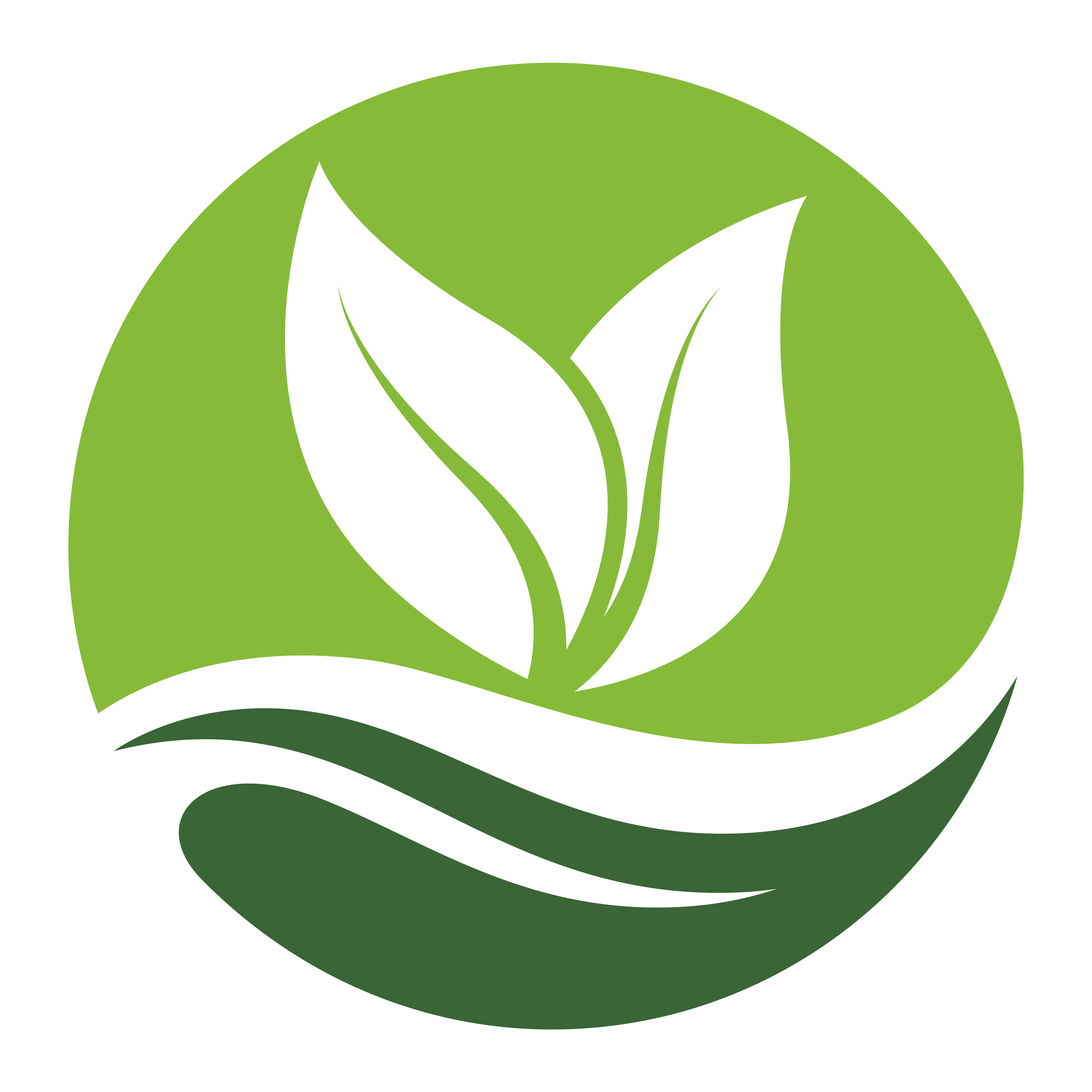 Velazquez Landscaping Fort Worth, TX