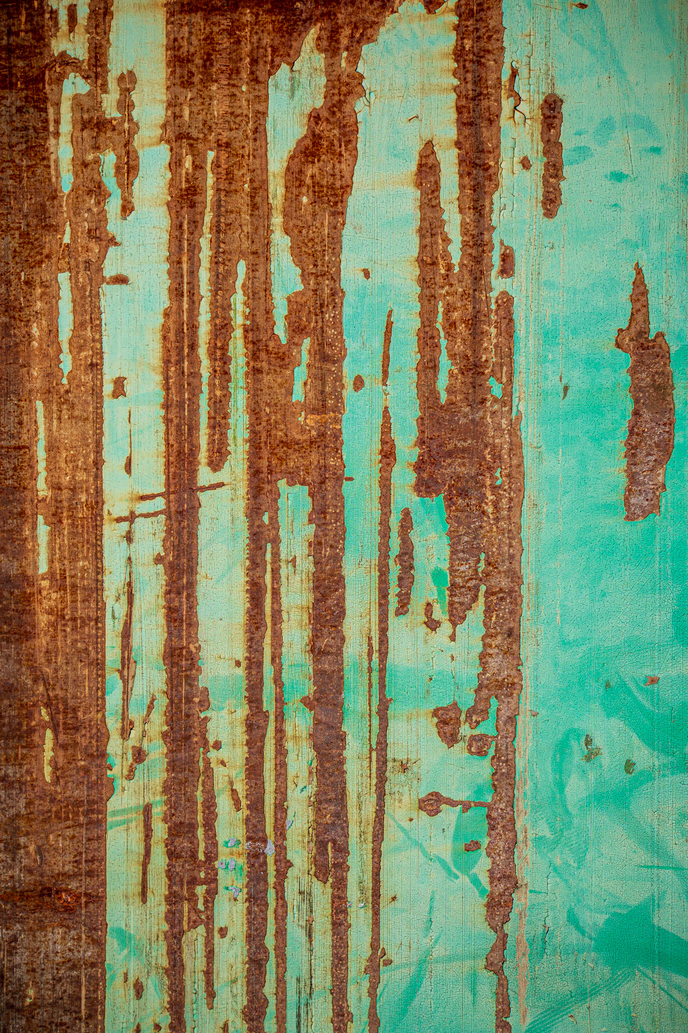 Rust #3
