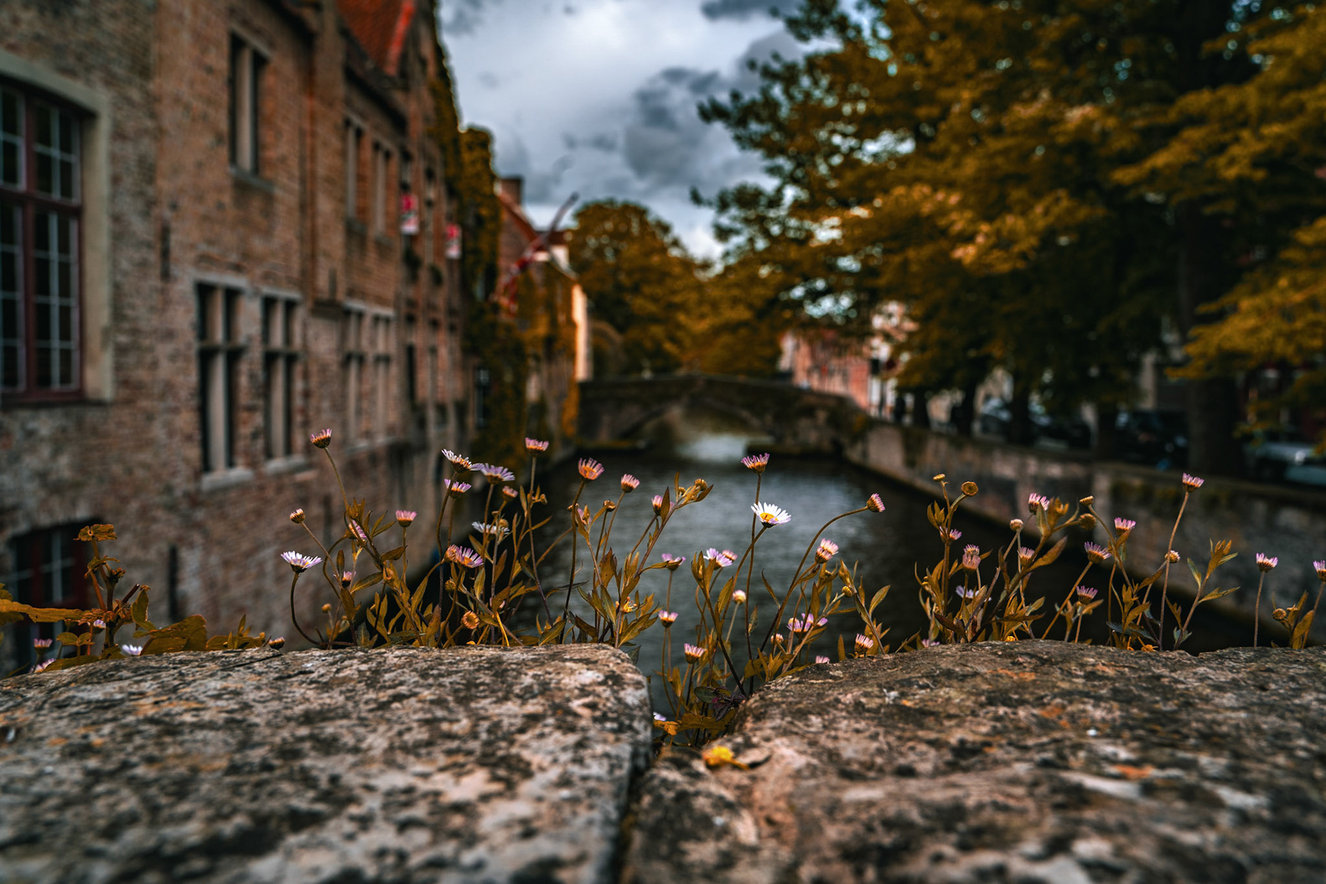 Bruges