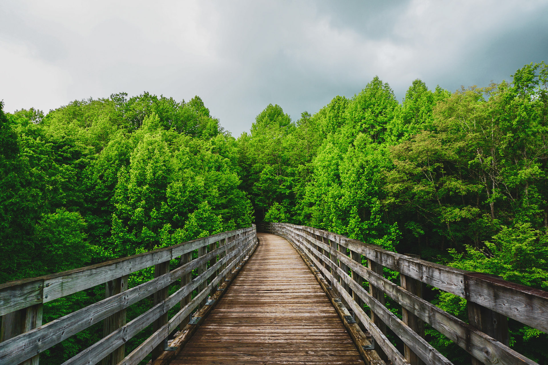 Virginia Creeper Trail
