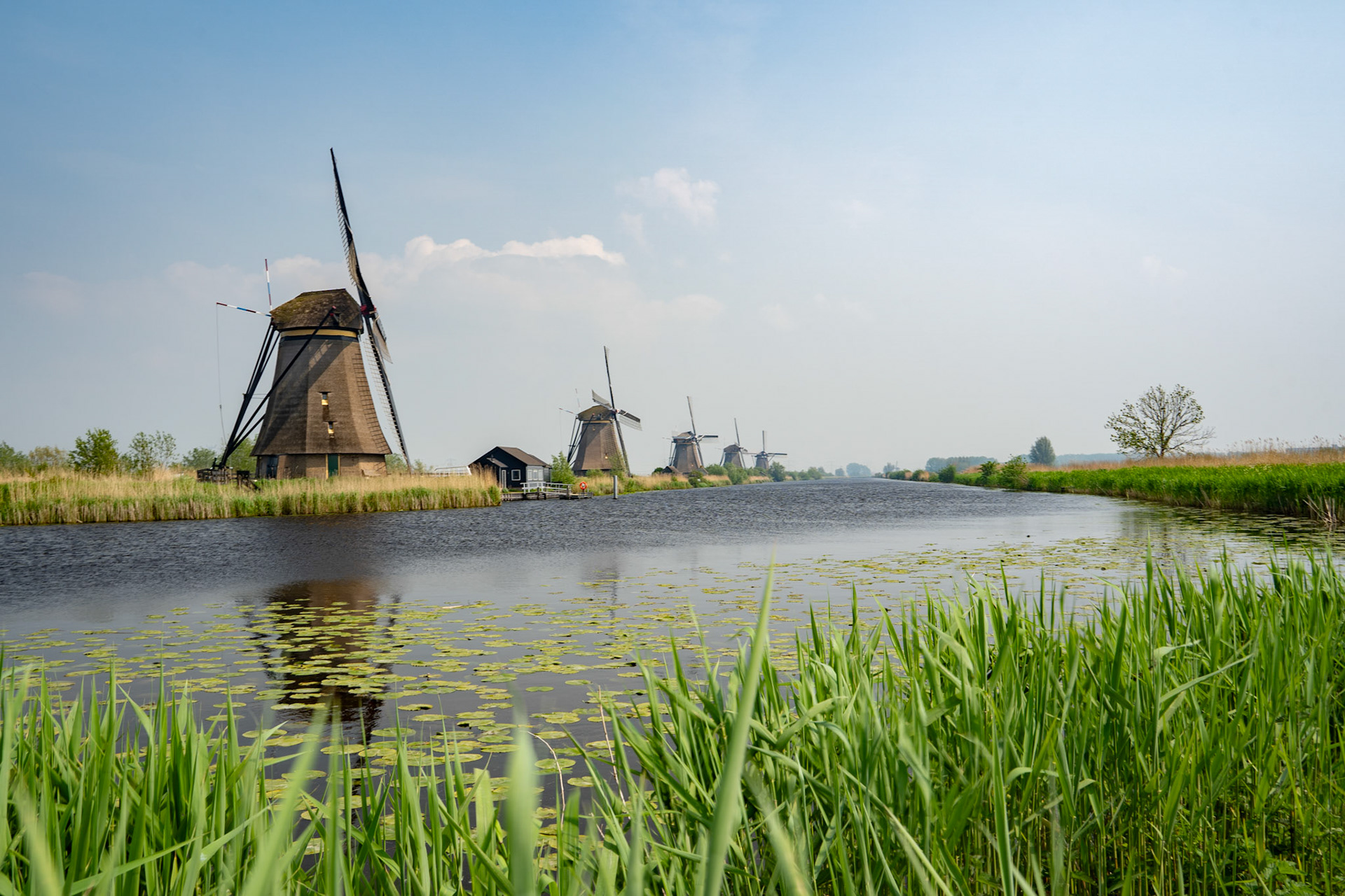 Kinderdijk