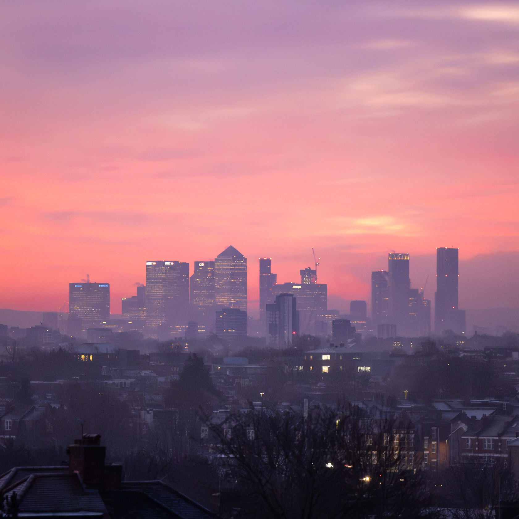 Violet City