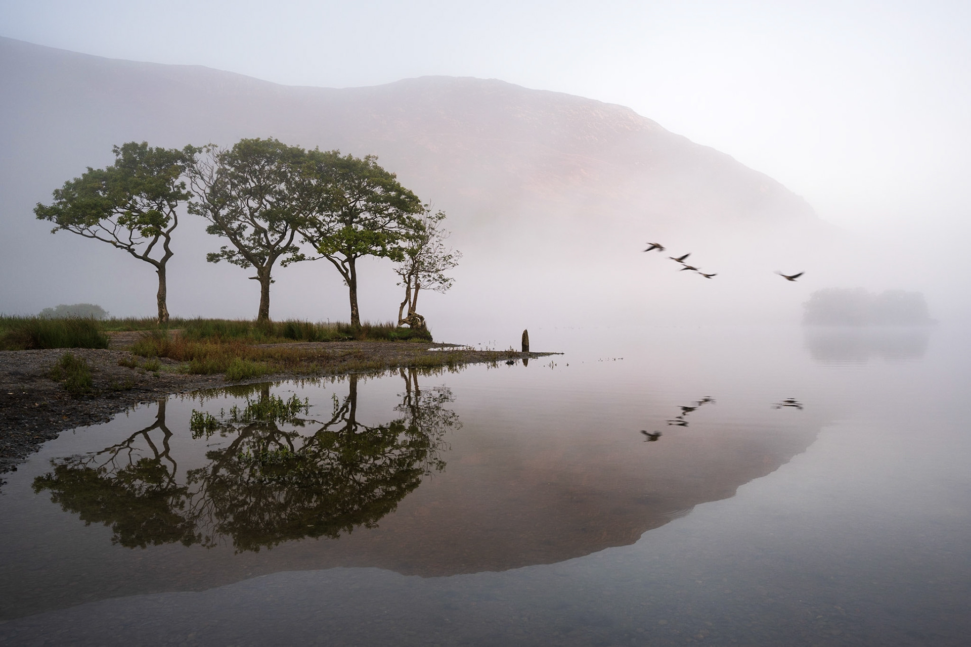 Flock of birds fly across Crummock Water, Lake District. Costas Kariolis
